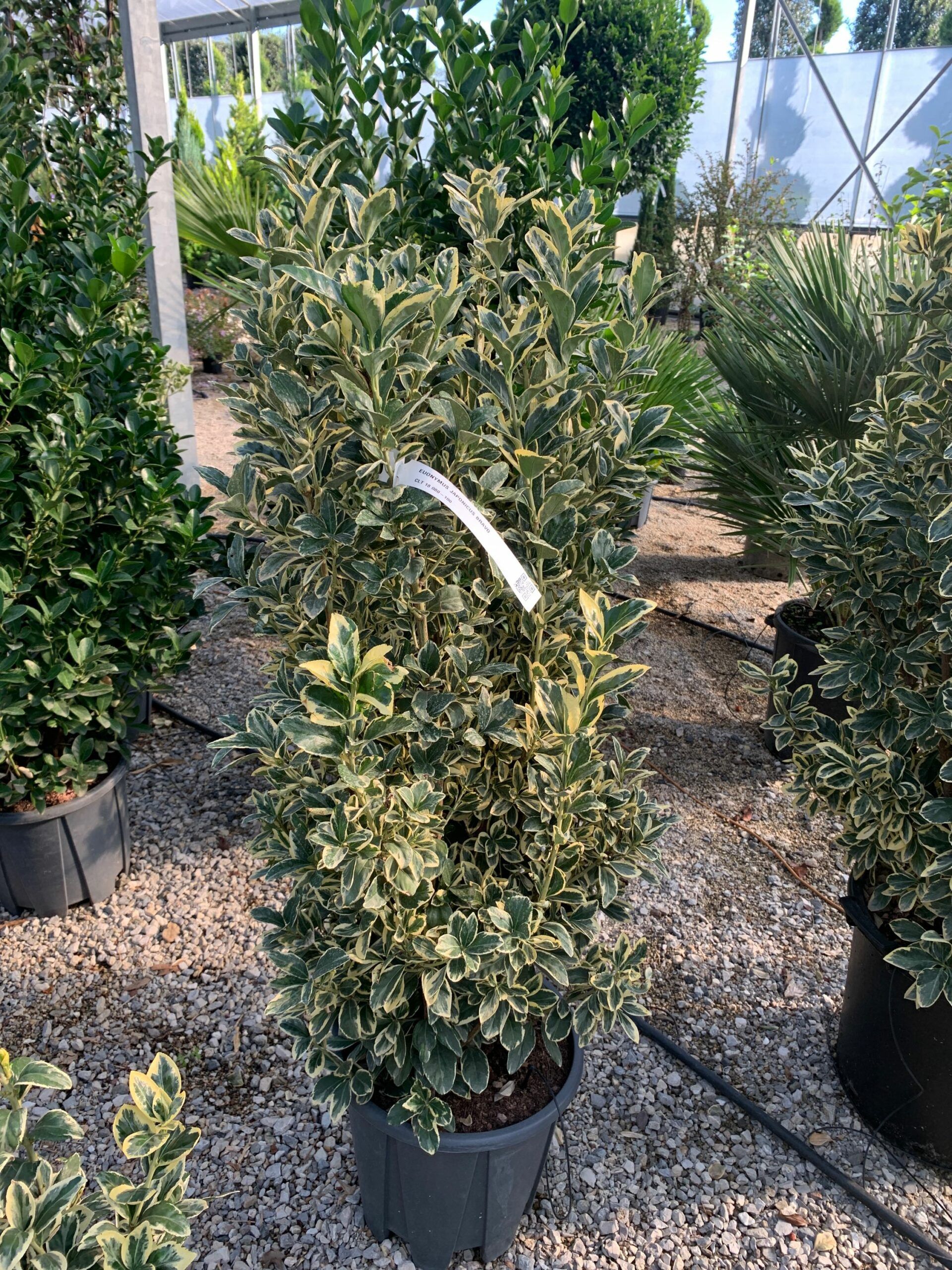 1634633054 scaled 0c158f15