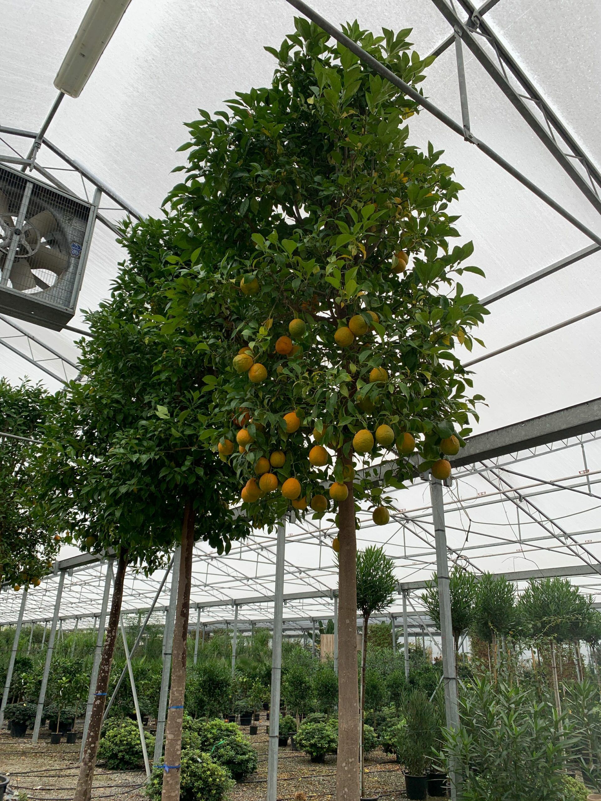 1637407054 scaled 0c8f02a0