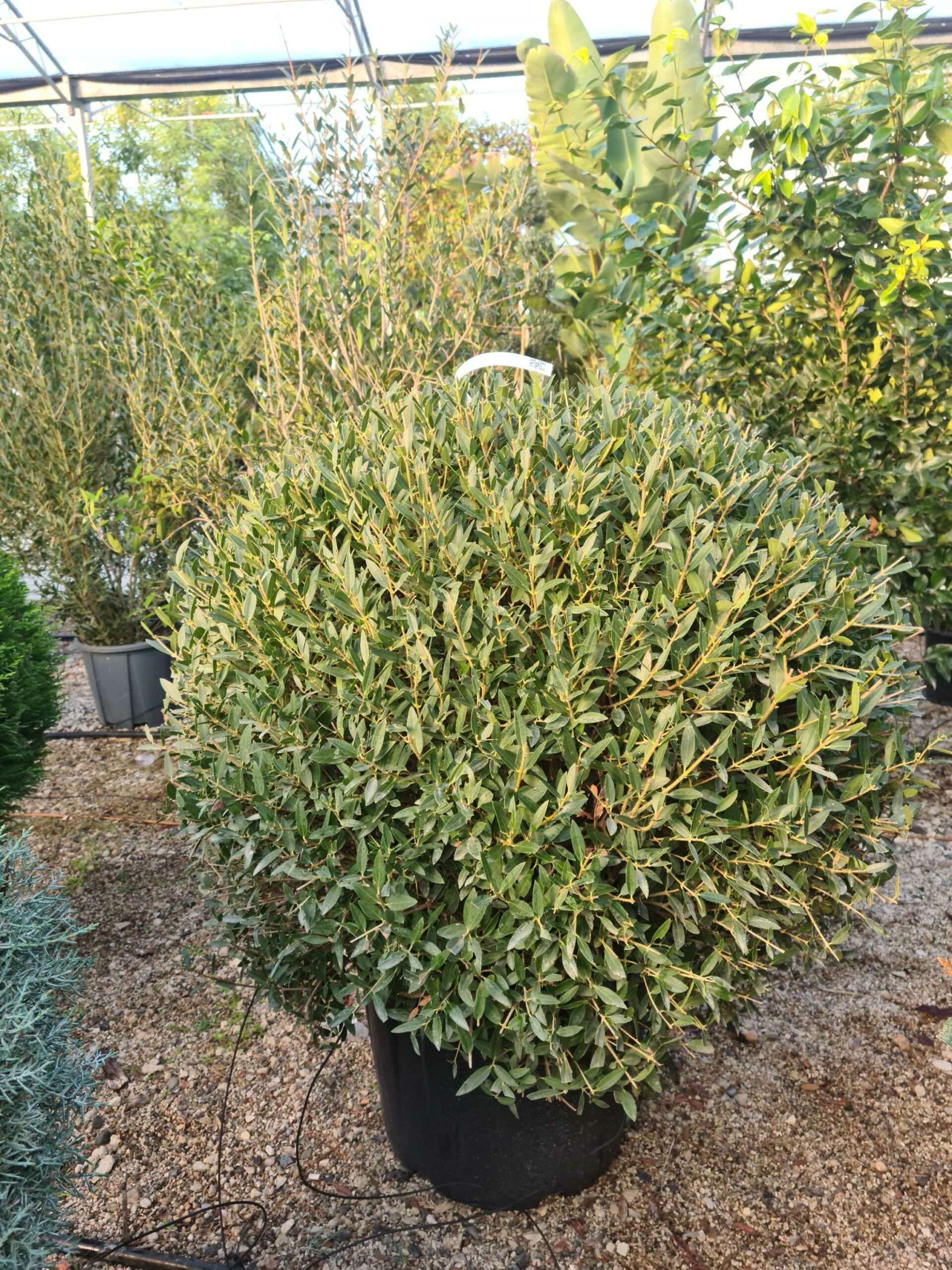 1639469570 scaled 0ccc73ef