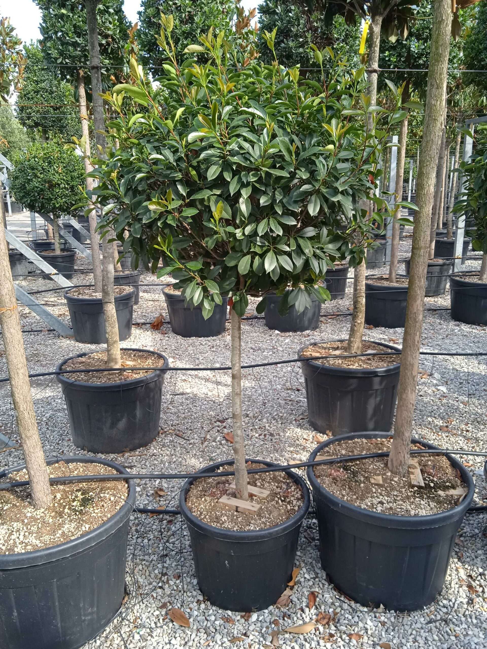 1661869352 scaled 0cfcd1f7