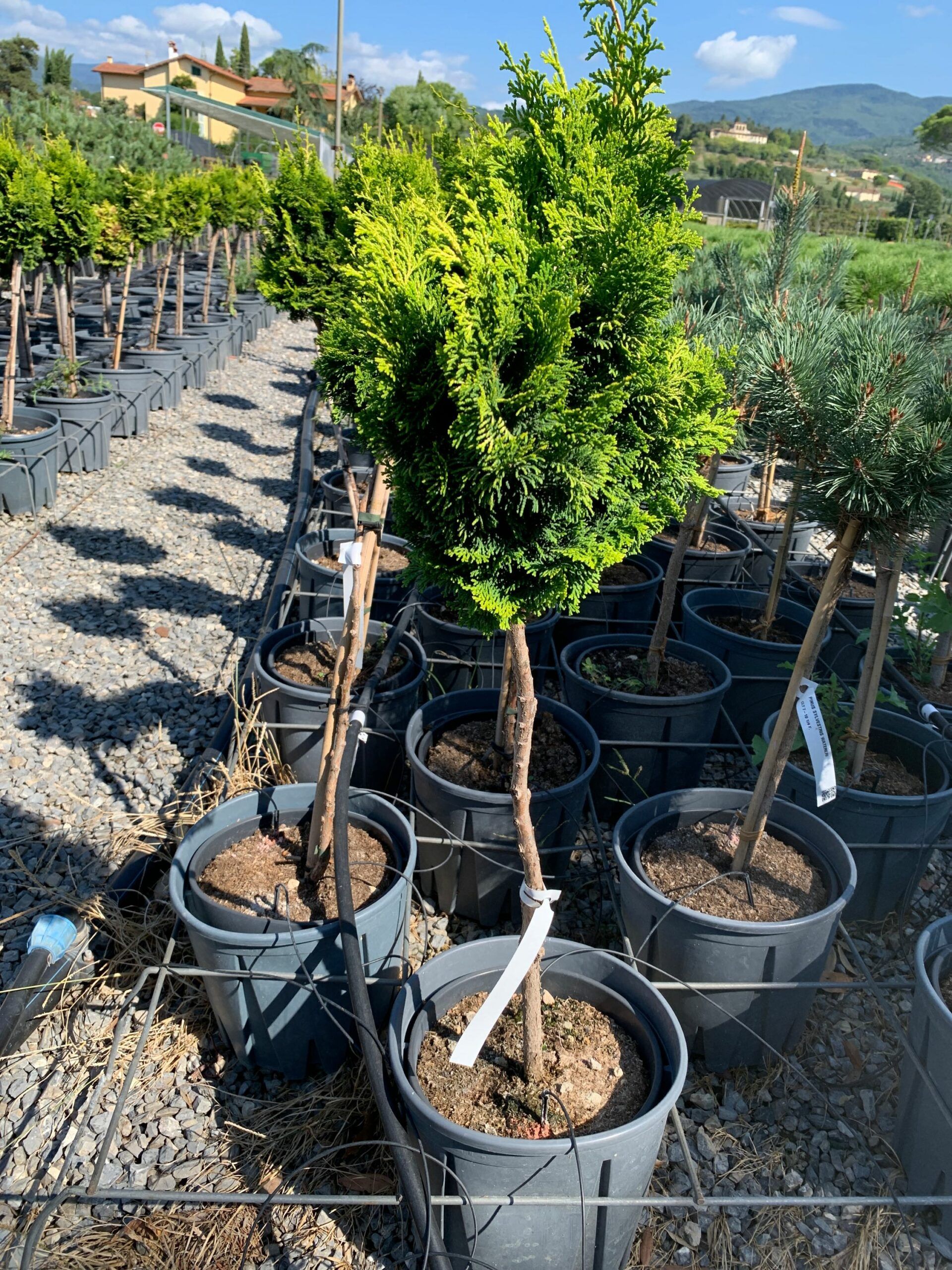 1662109268 scaled 0cc148ef