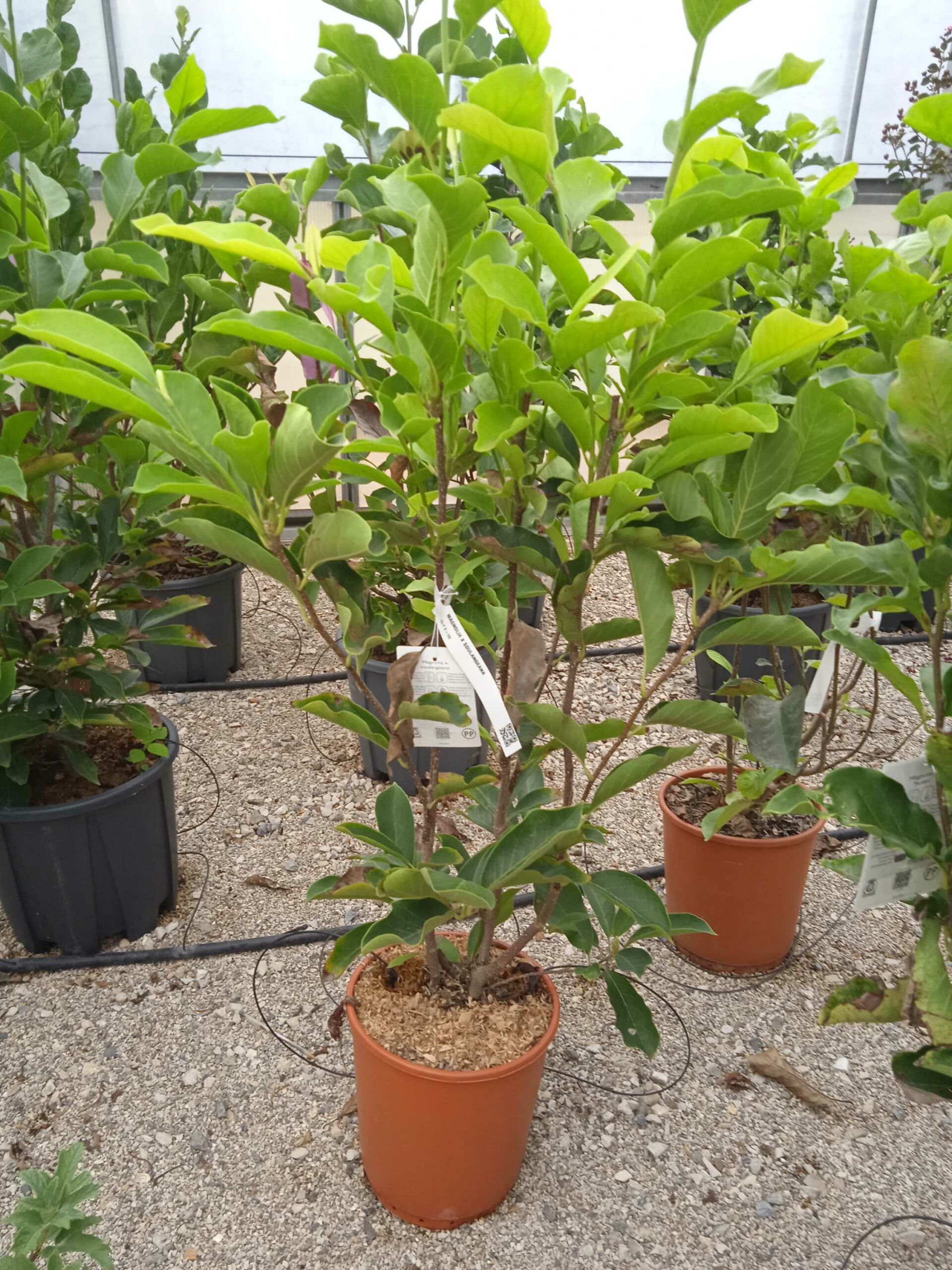 1662189996 scaled 0cd43a65