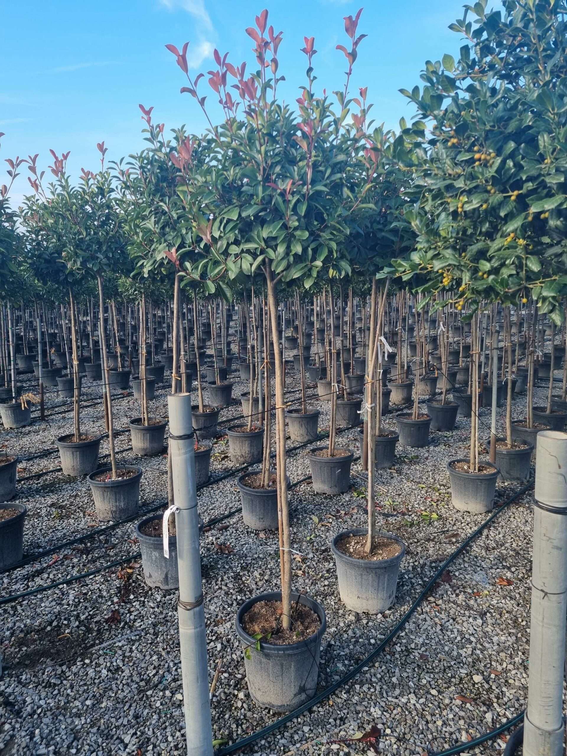 1665214876 scaled 0cb1bb7c