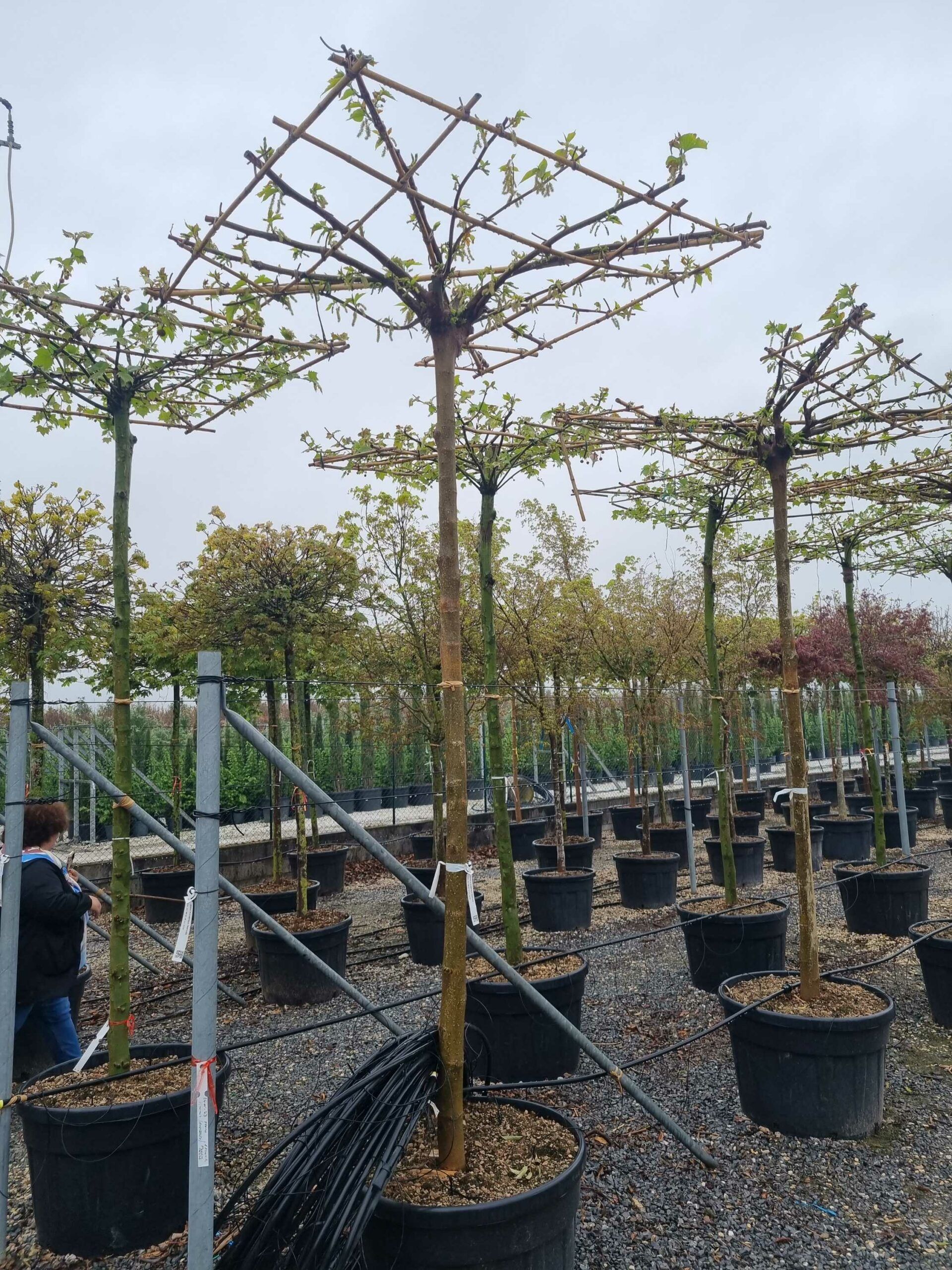 1681293279 scaled 0c7b6167