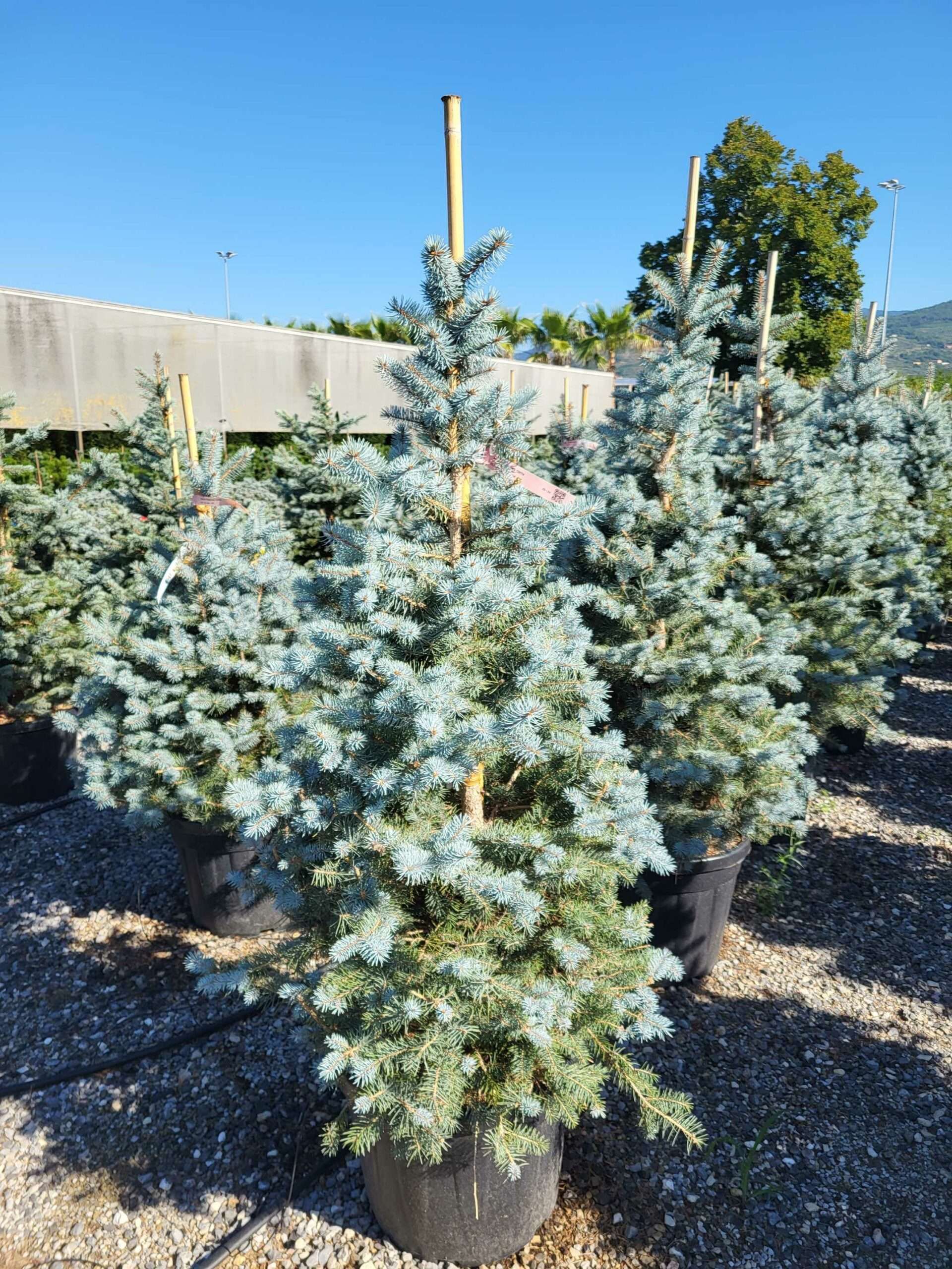 1691653142 scaled 0c9ddddc