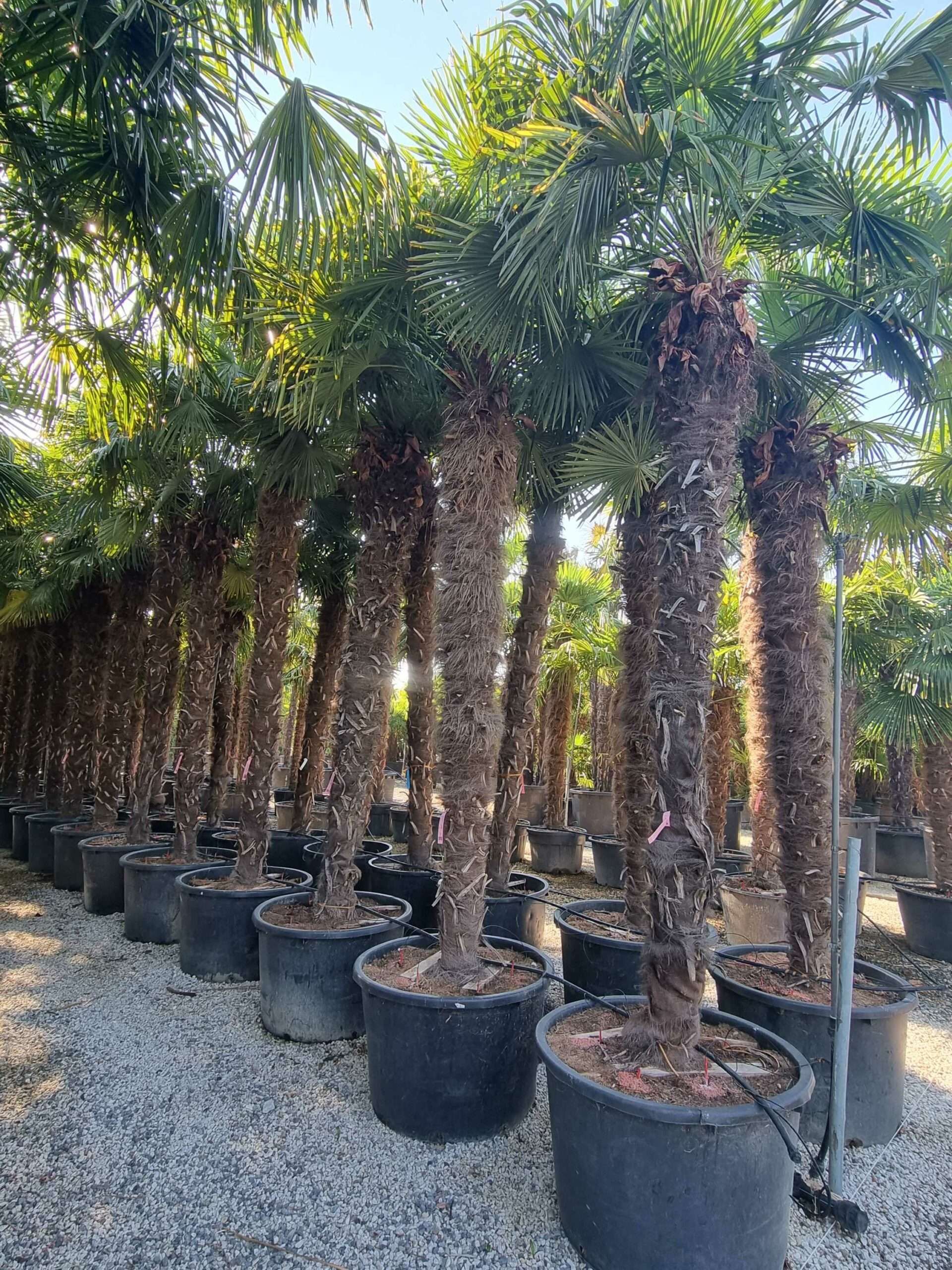 1692687392 scaled 0cde2305