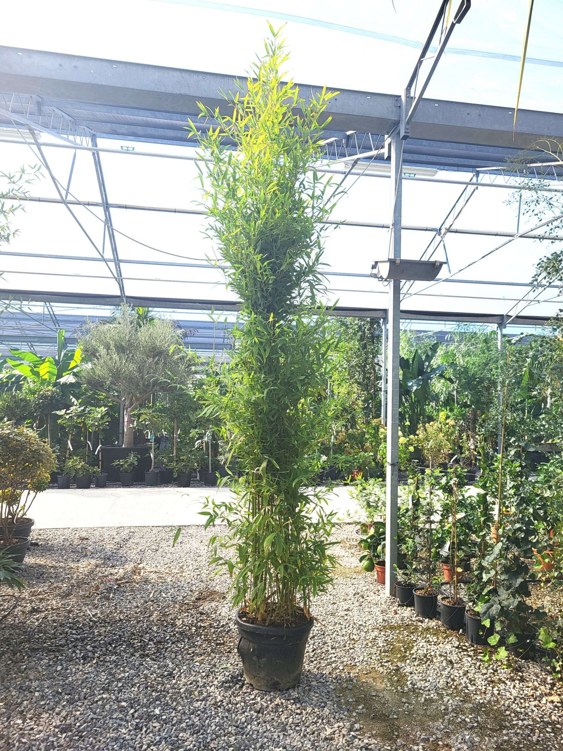 1696326796 scaled 0ca84f5e