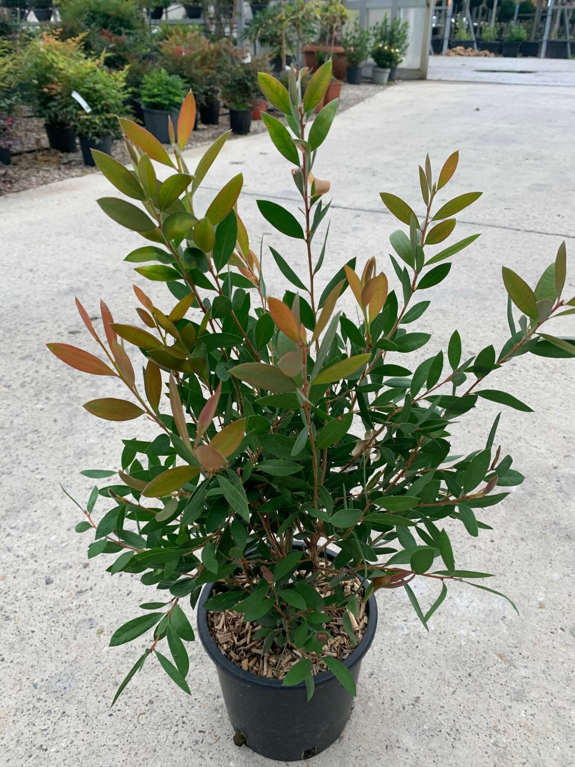 1636972683 scaled 0dc6711a