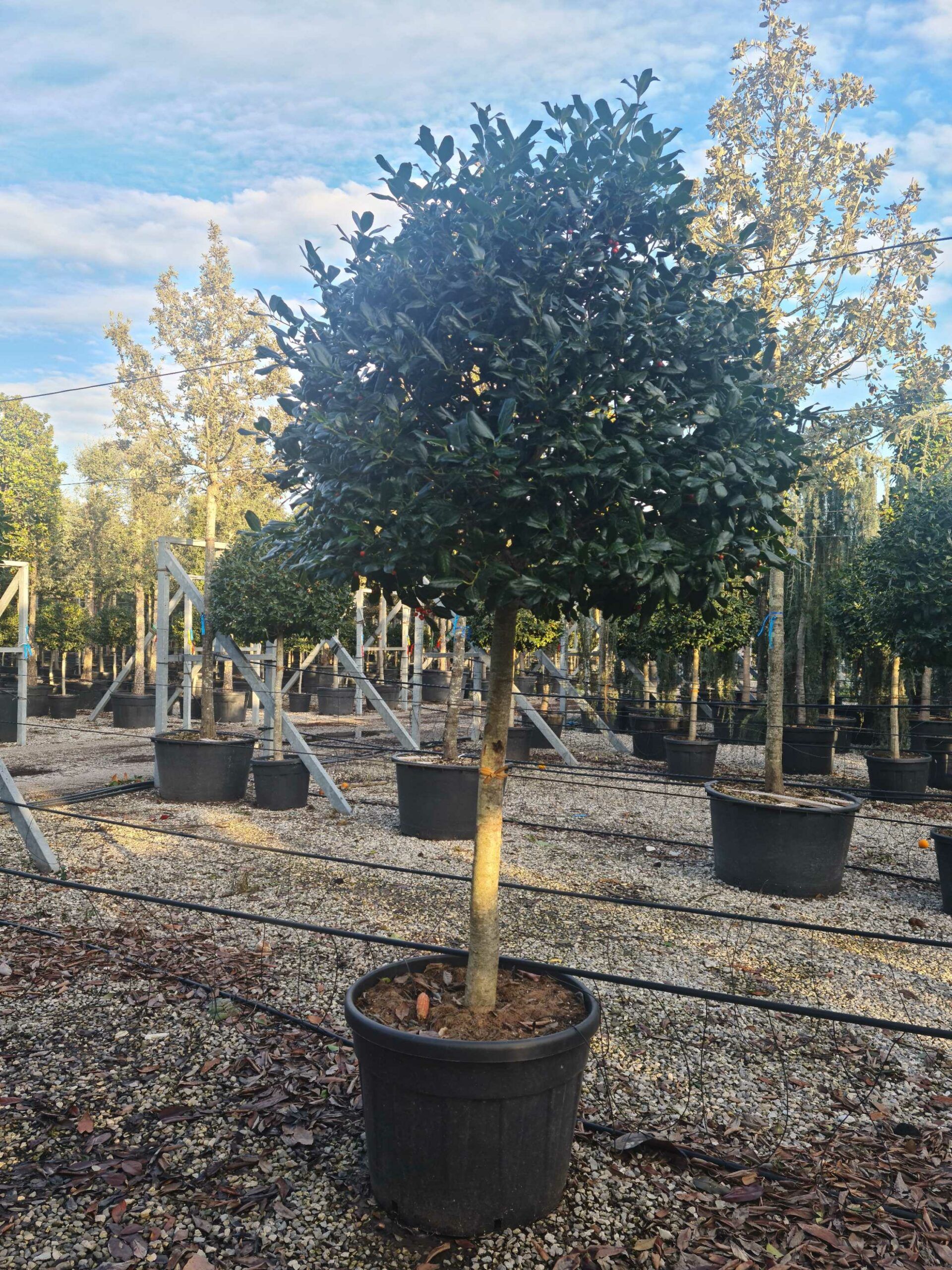 1639405442 scaled 0d96a3d2