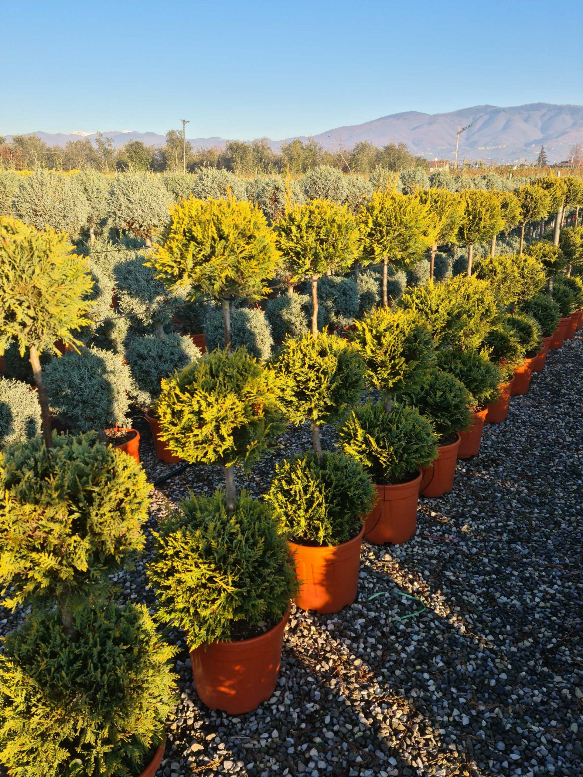 1639815159 scaled 0db5bbb2