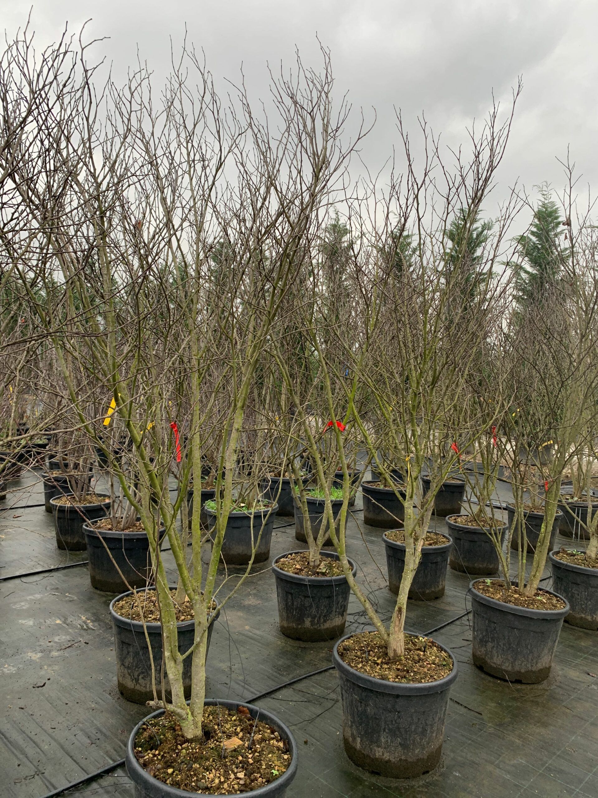 1641211698 scaled 0dde3ef9