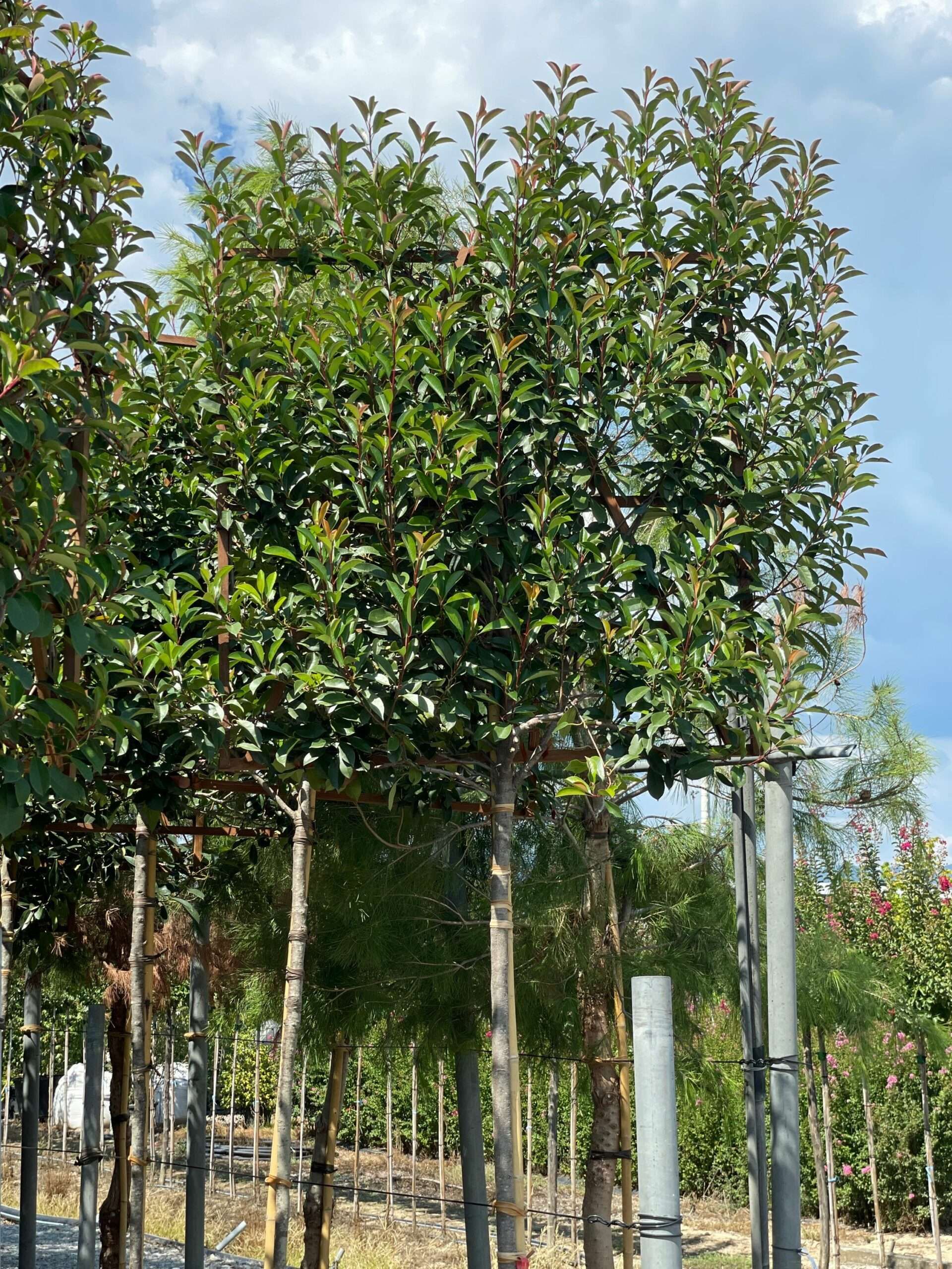 1661510397 scaled 0dfbddc2