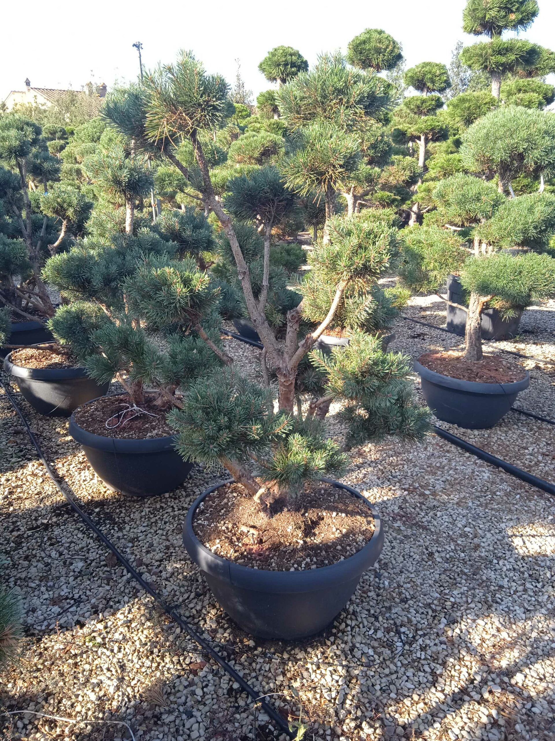 1662361304 scaled 0dfeb47f