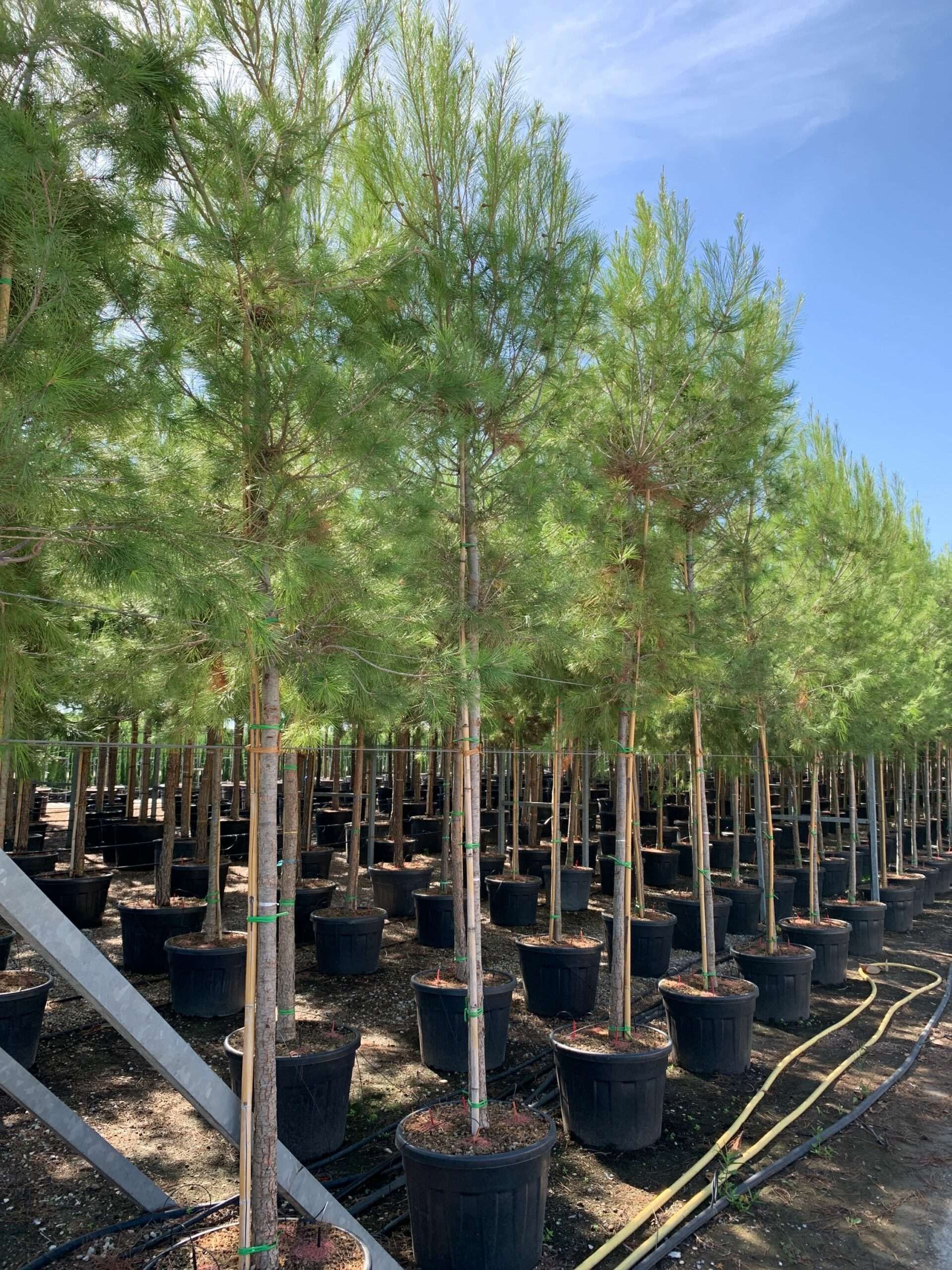 1662453261 scaled 0d9cfe70