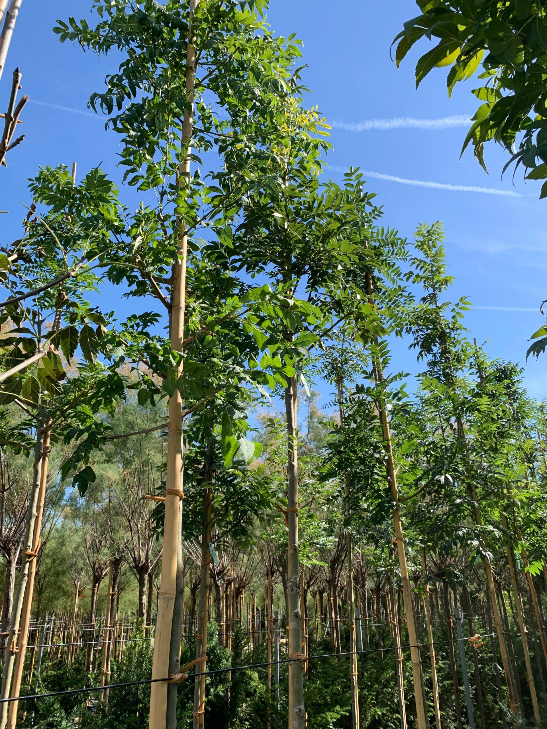 1662455216 scaled 0d383fc9