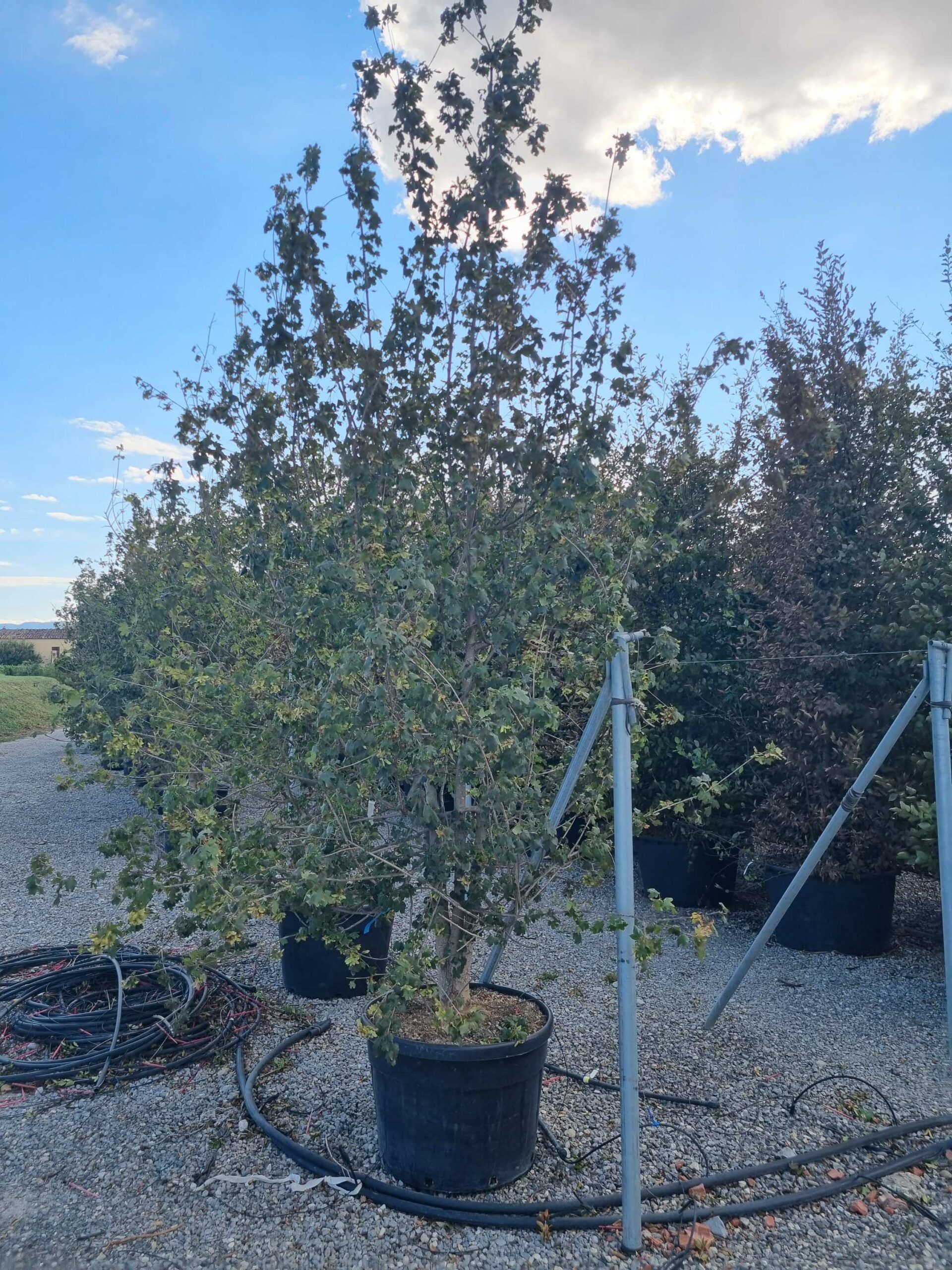 1663766137 scaled 0d87fbdc