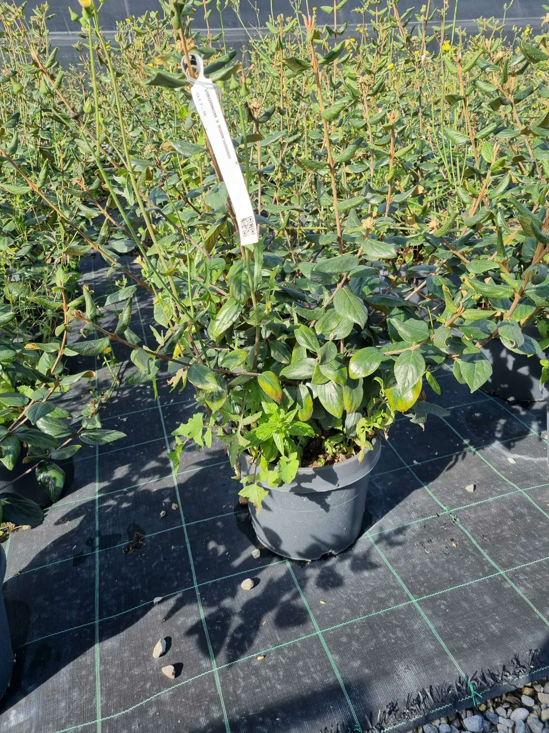 1665566801 scaled 0dd00928