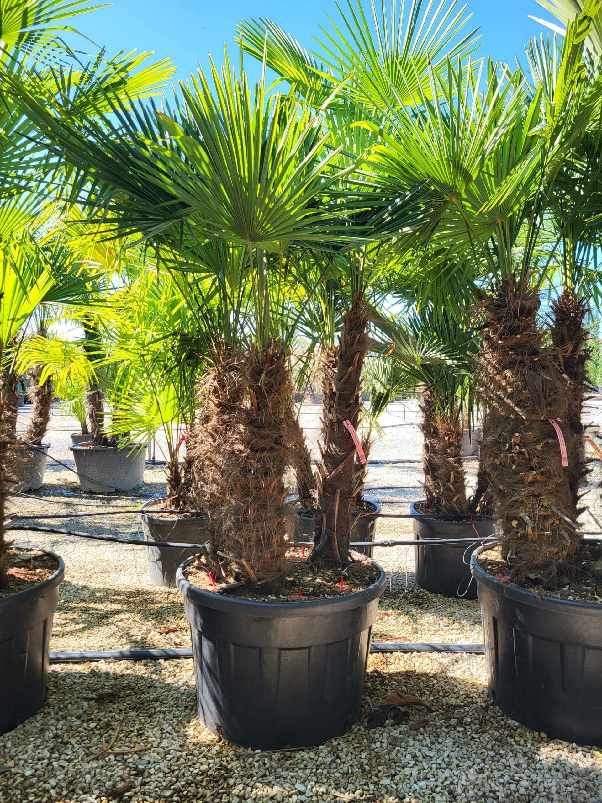 1691483454 scaled 0d169f35