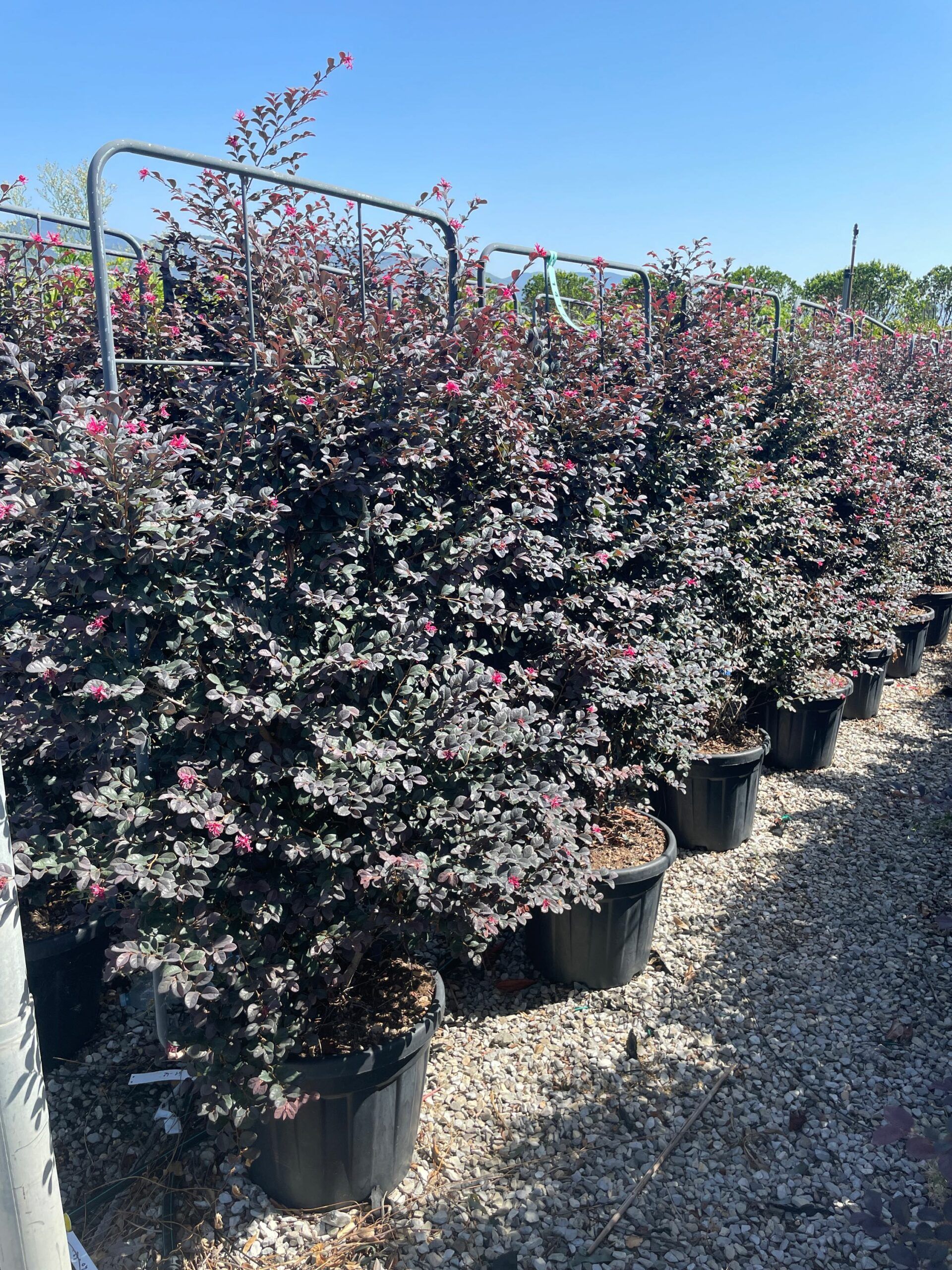 1692869757 1 scaled 0da5b296