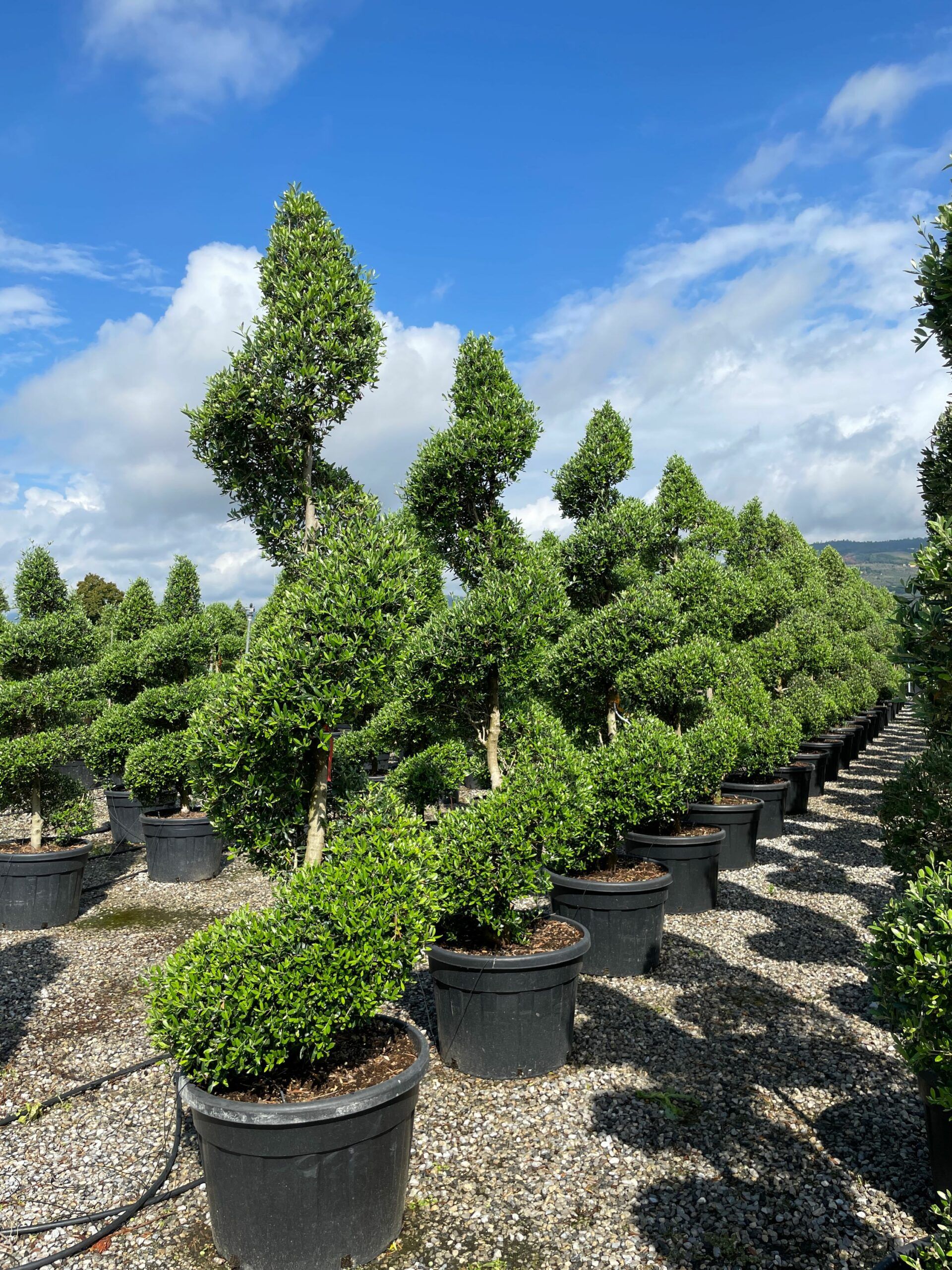 1631957264 scaled 0e626a00