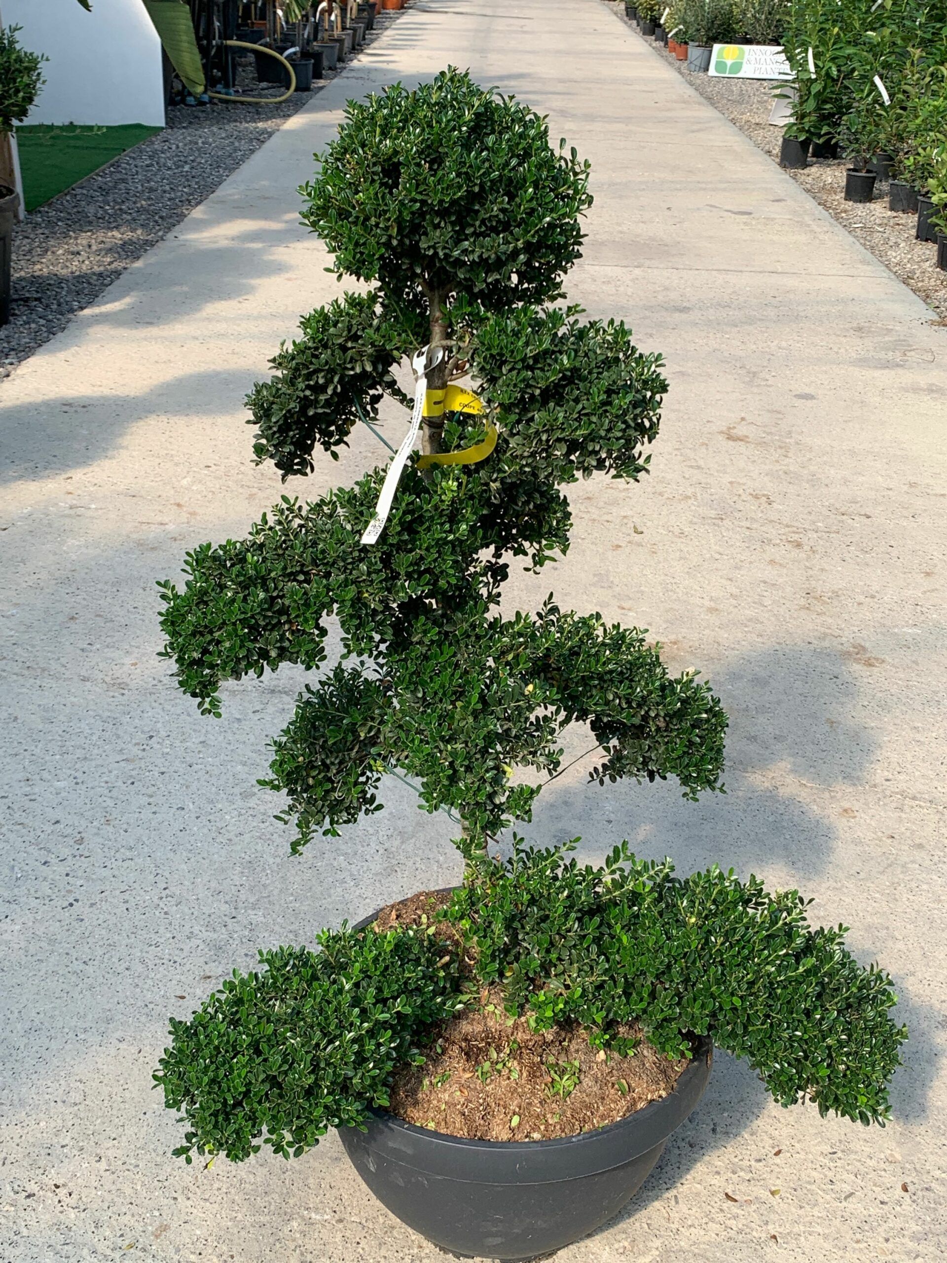 1632833987 scaled 0e2bf402