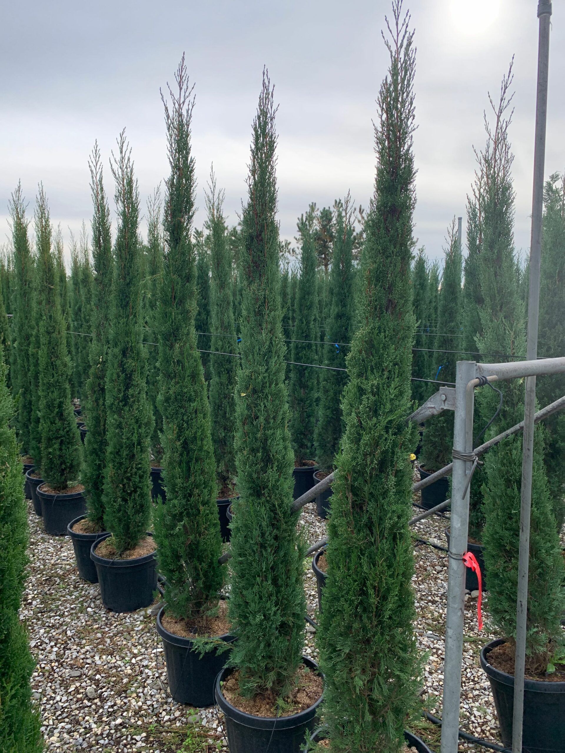 1636103120 scaled 0ed65a03