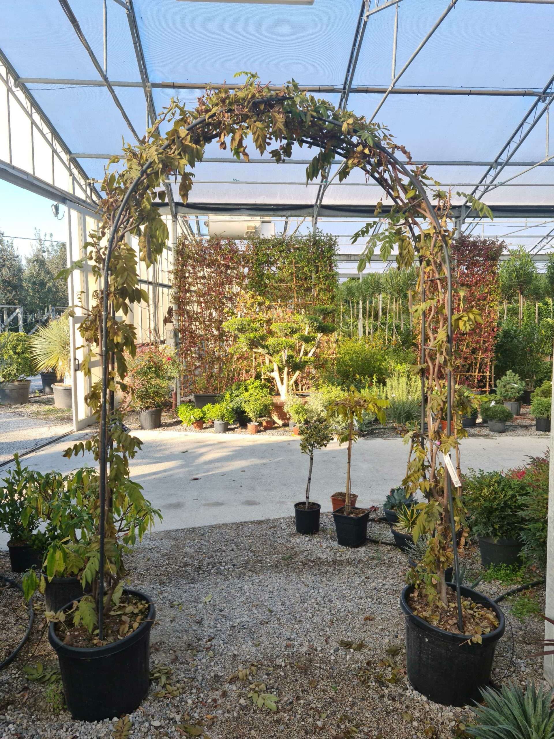 1639474010 scaled 0ecacbe2