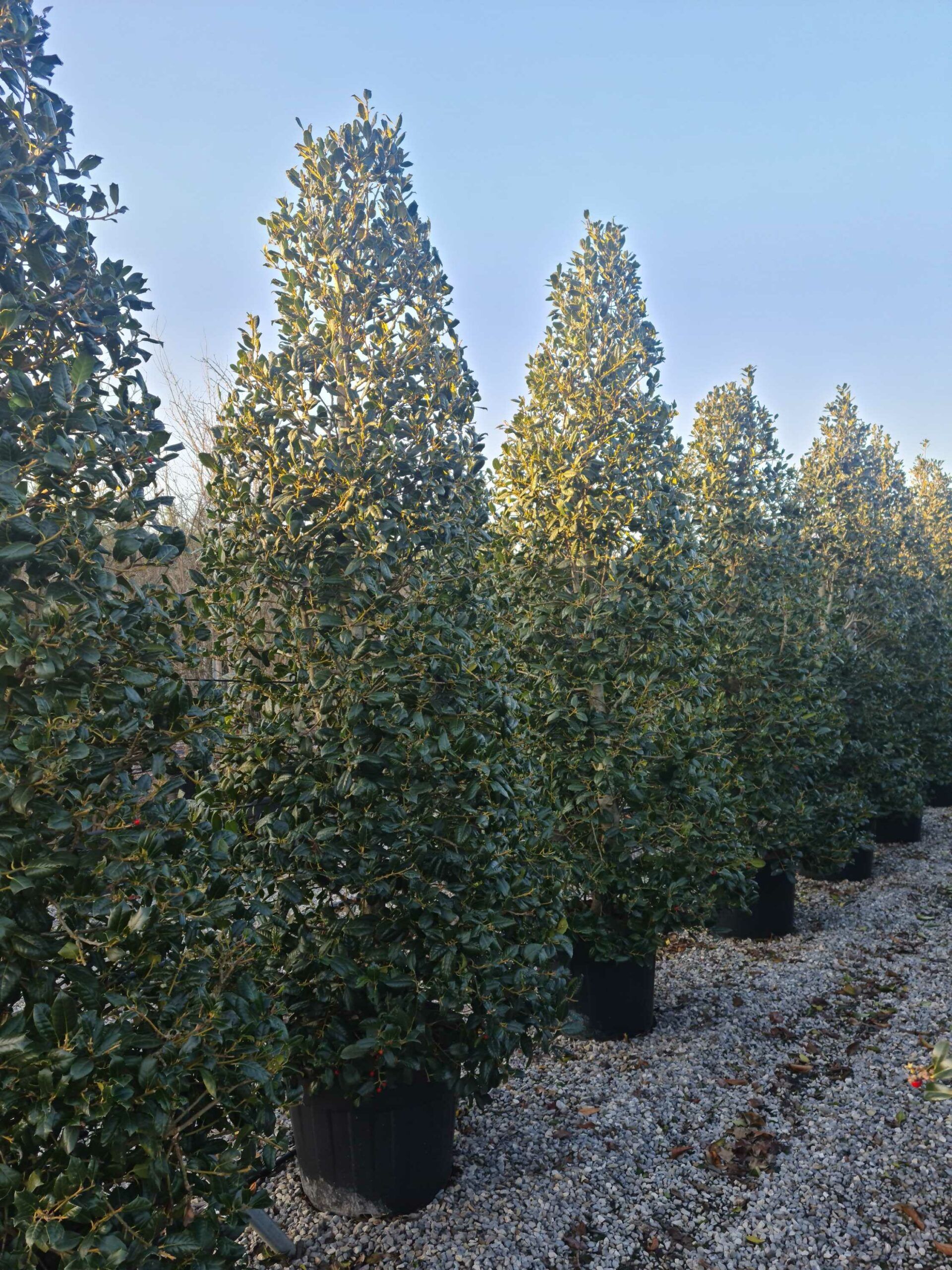 1642778132 scaled 0e3c9fac