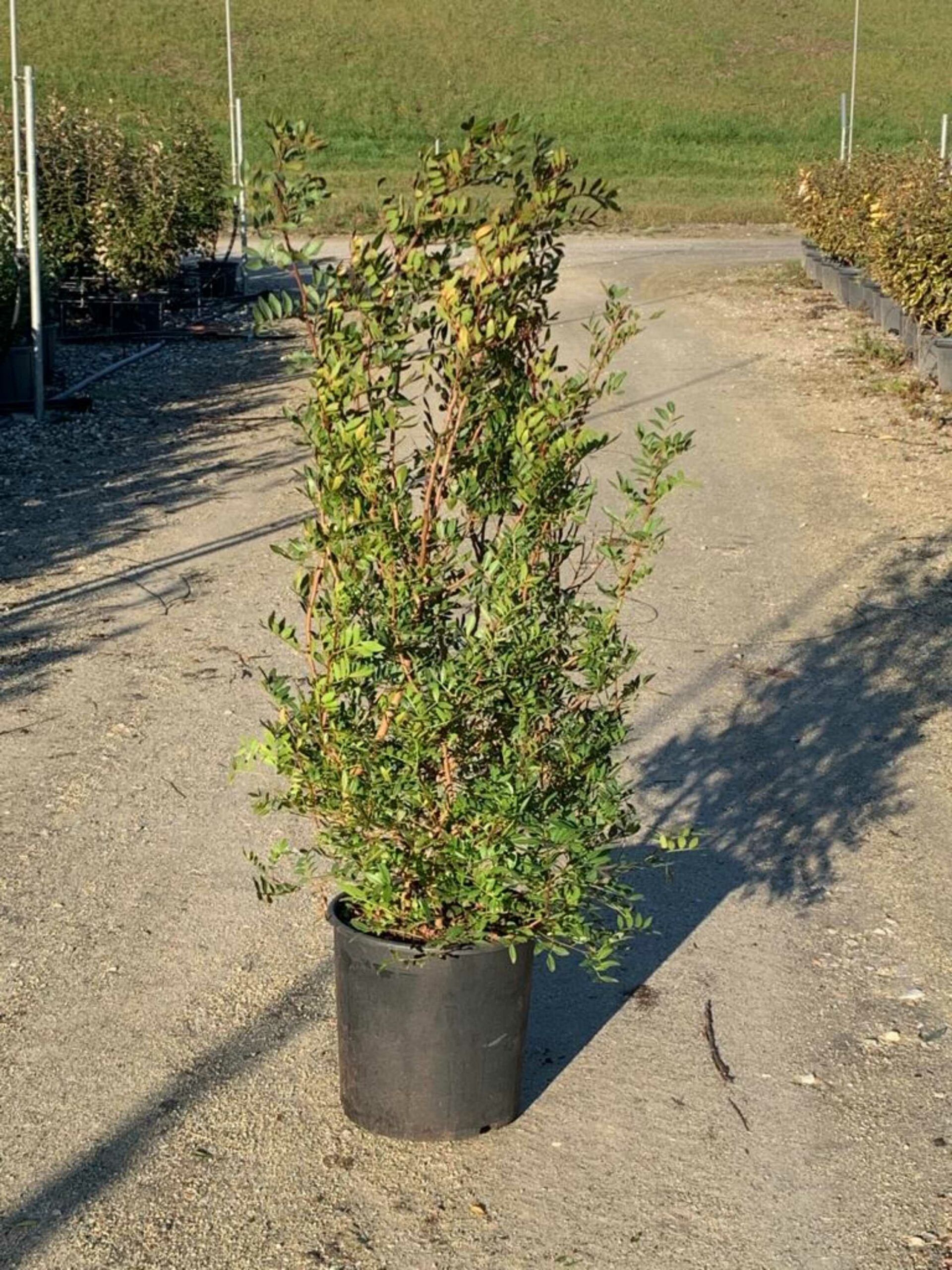 1642840271 scaled 0ef6c450