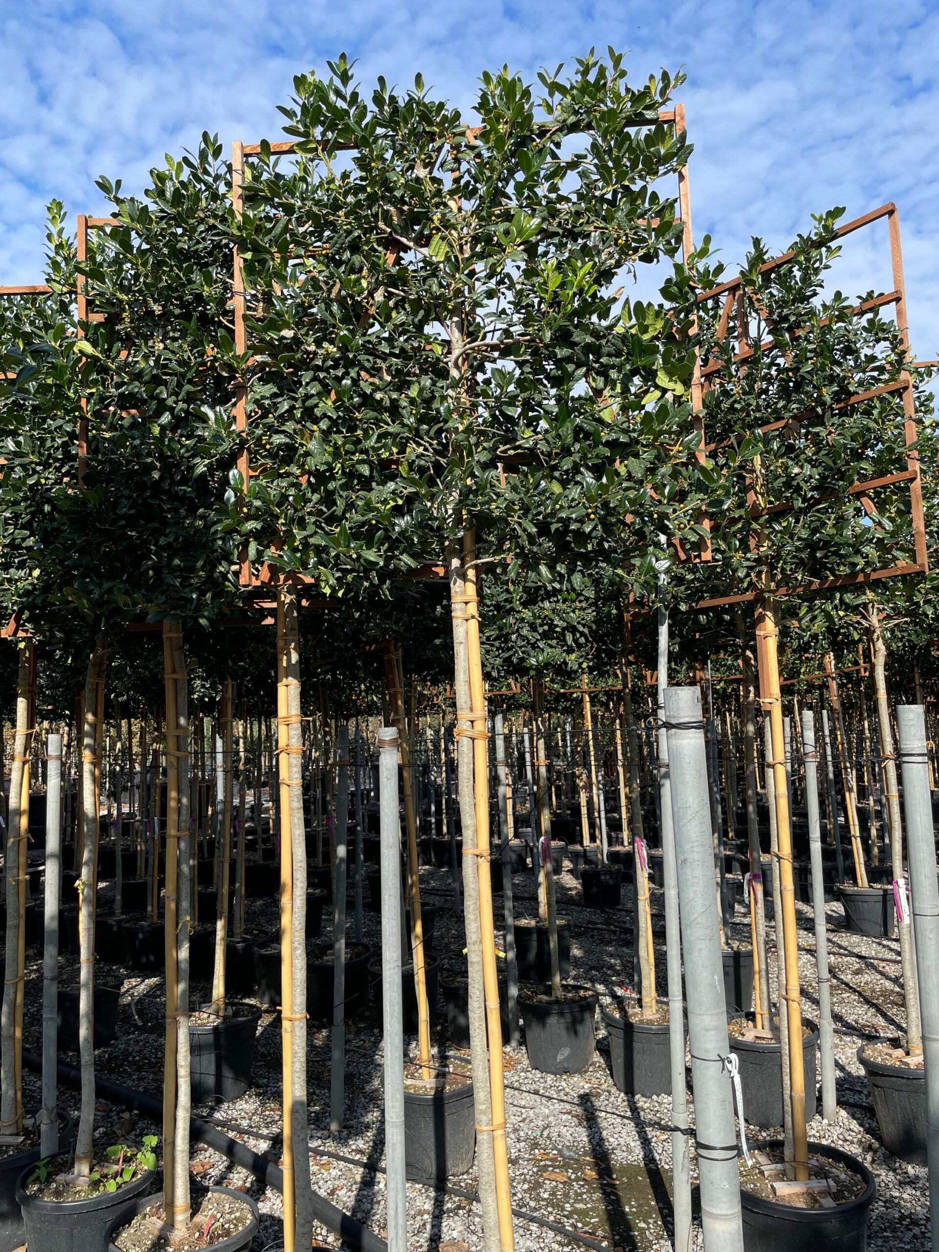 1665305752 scaled 0e207fb8