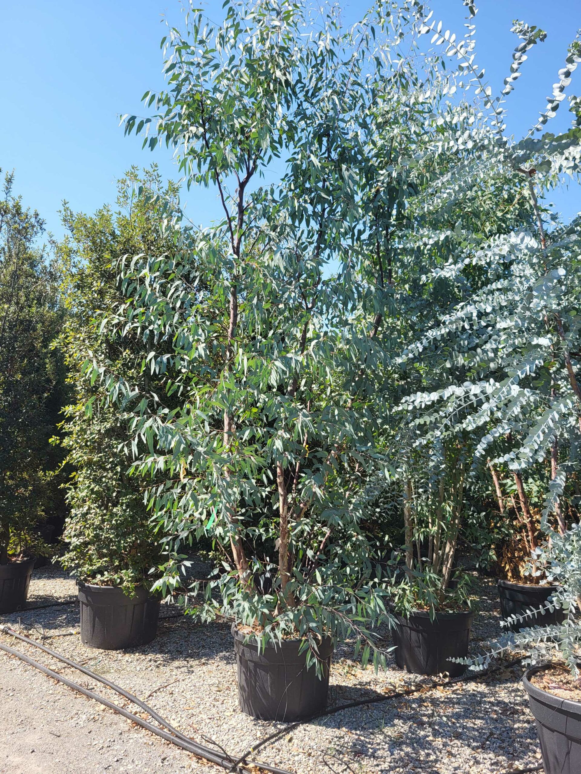 1692610373 scaled 0ec1c0bc