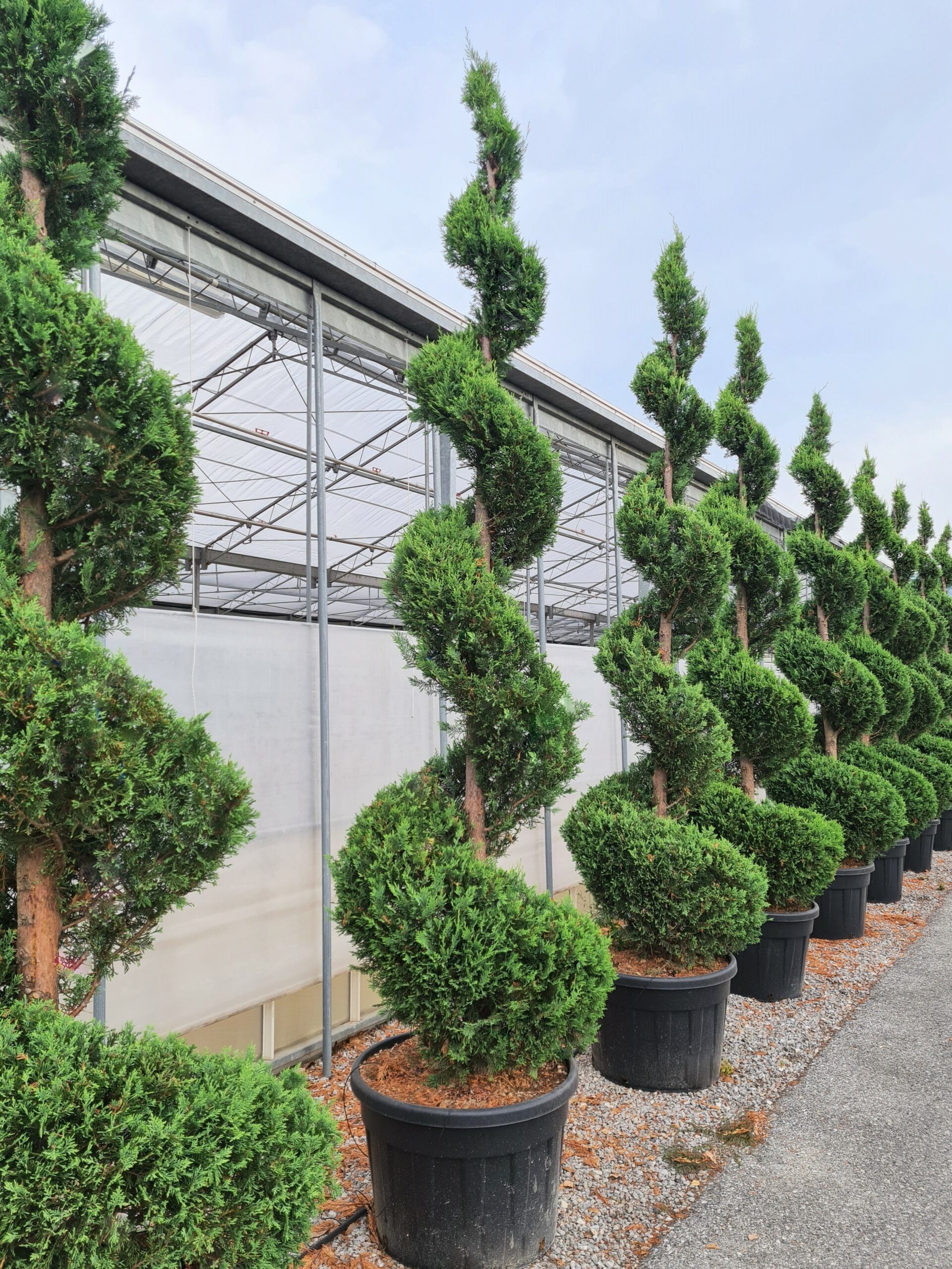 1631795715 2 scaled 0fab1978