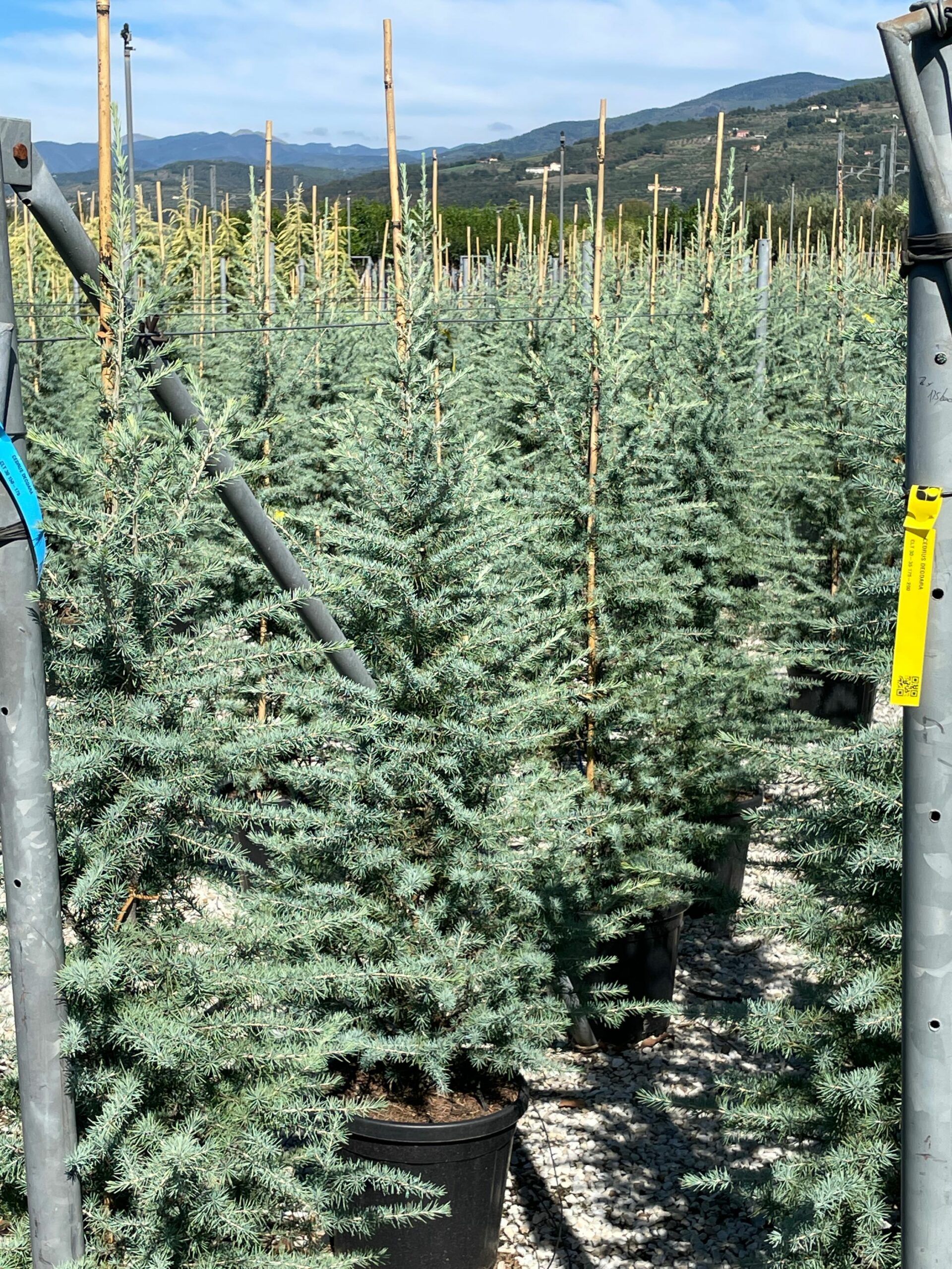 1632303574 scaled 0f2349dc