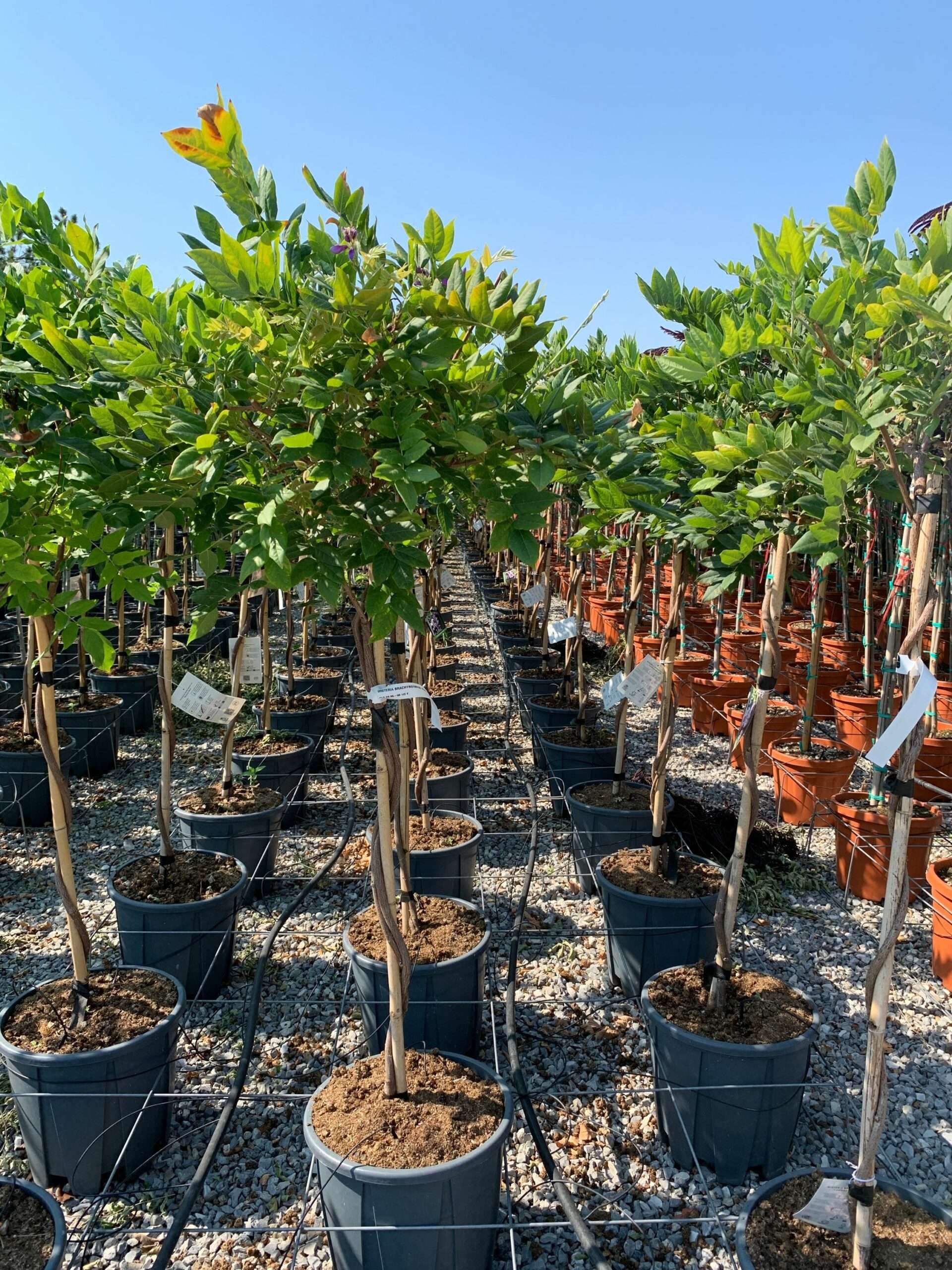 1658131829 scaled 0f95219b