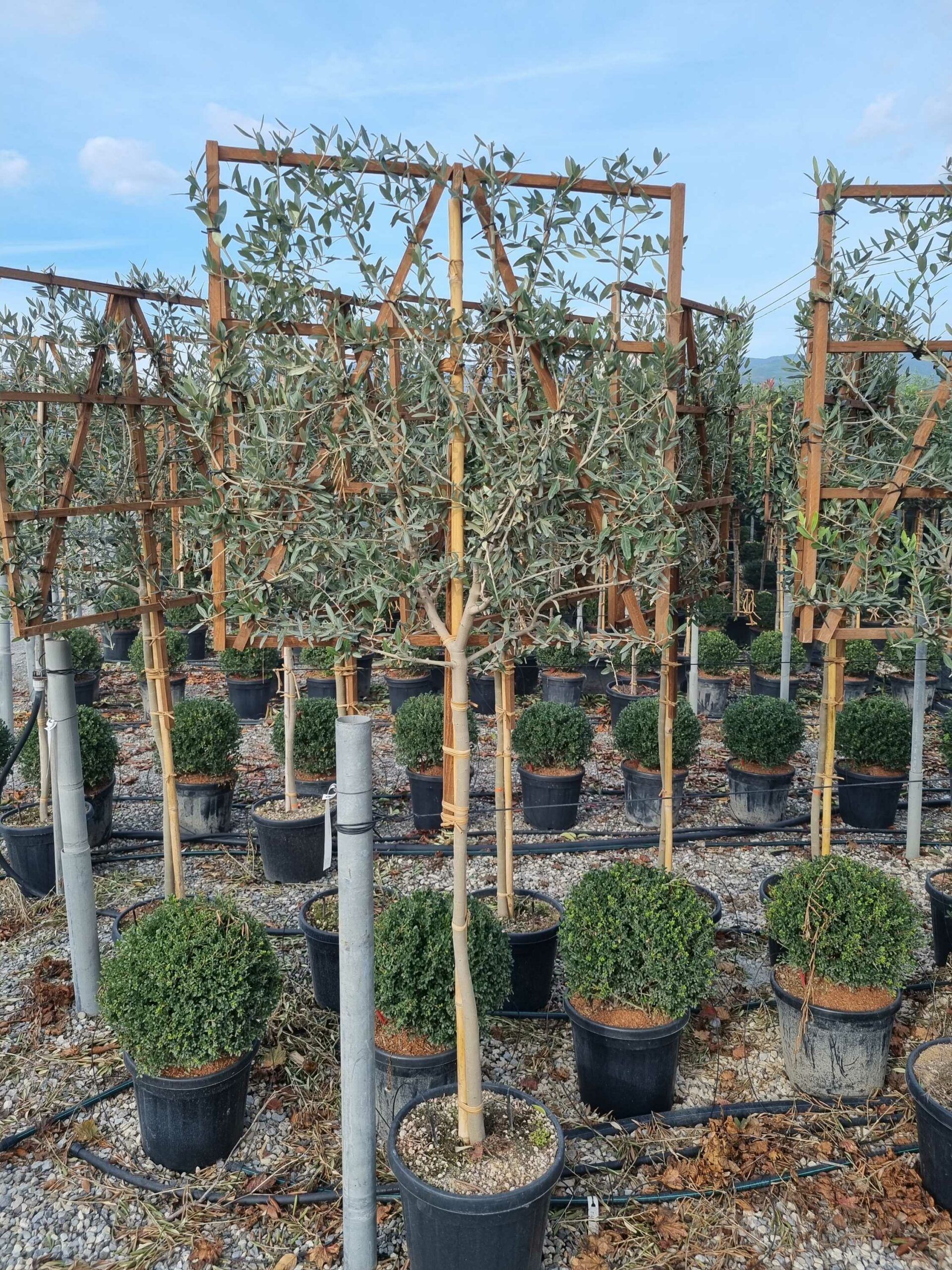 1665582712 scaled 0f0575fb