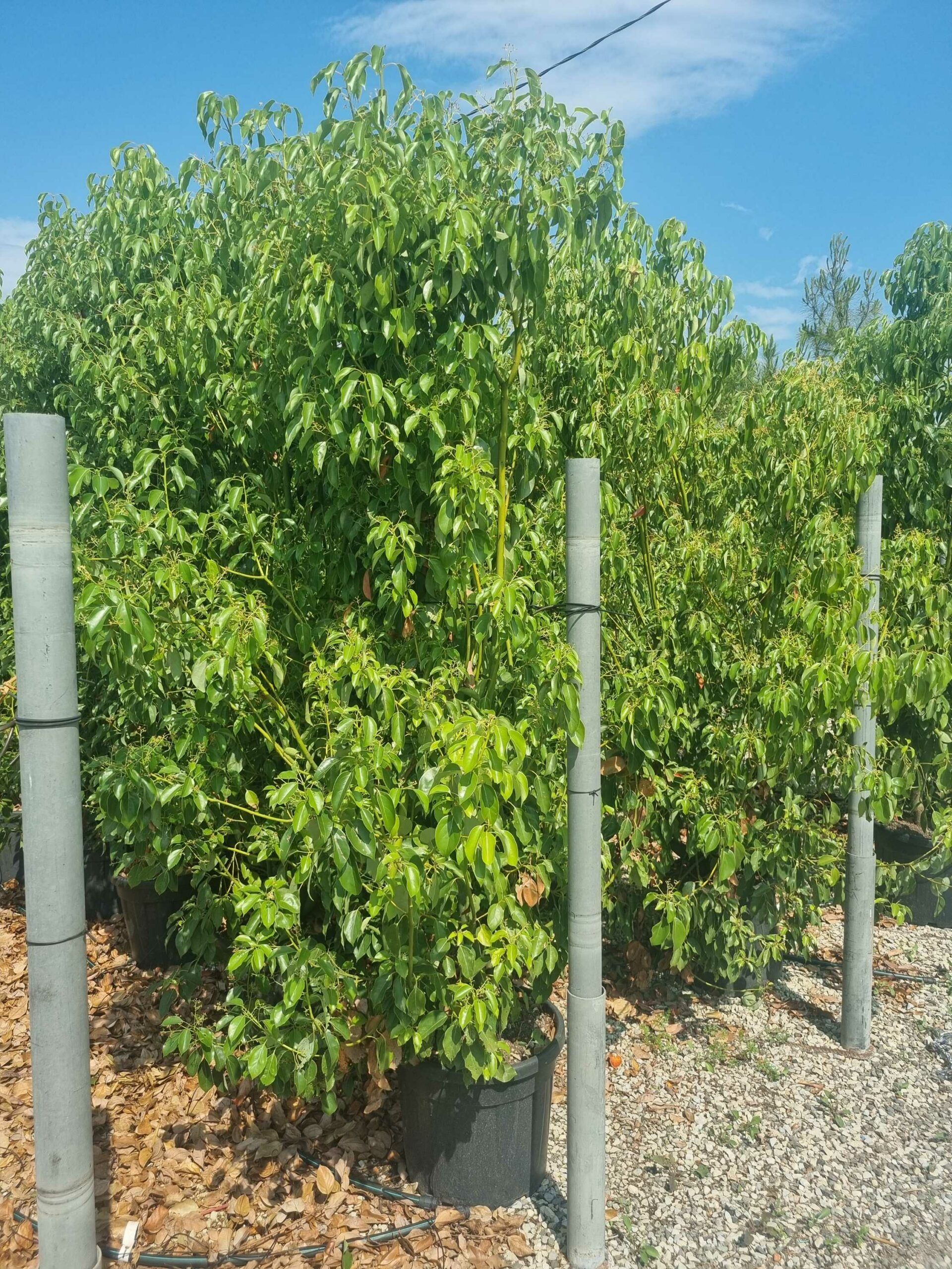 1685436161 scaled 0f6a02ec