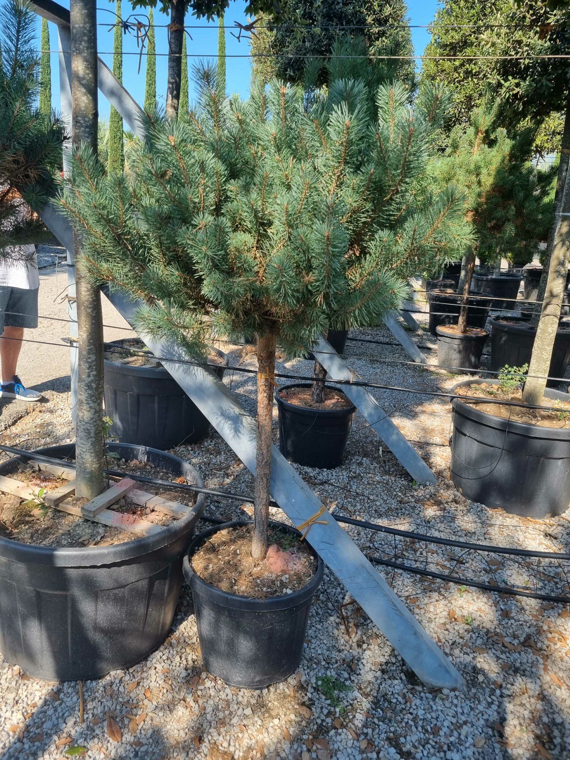 1692606425 scaled 0f6ce0e7