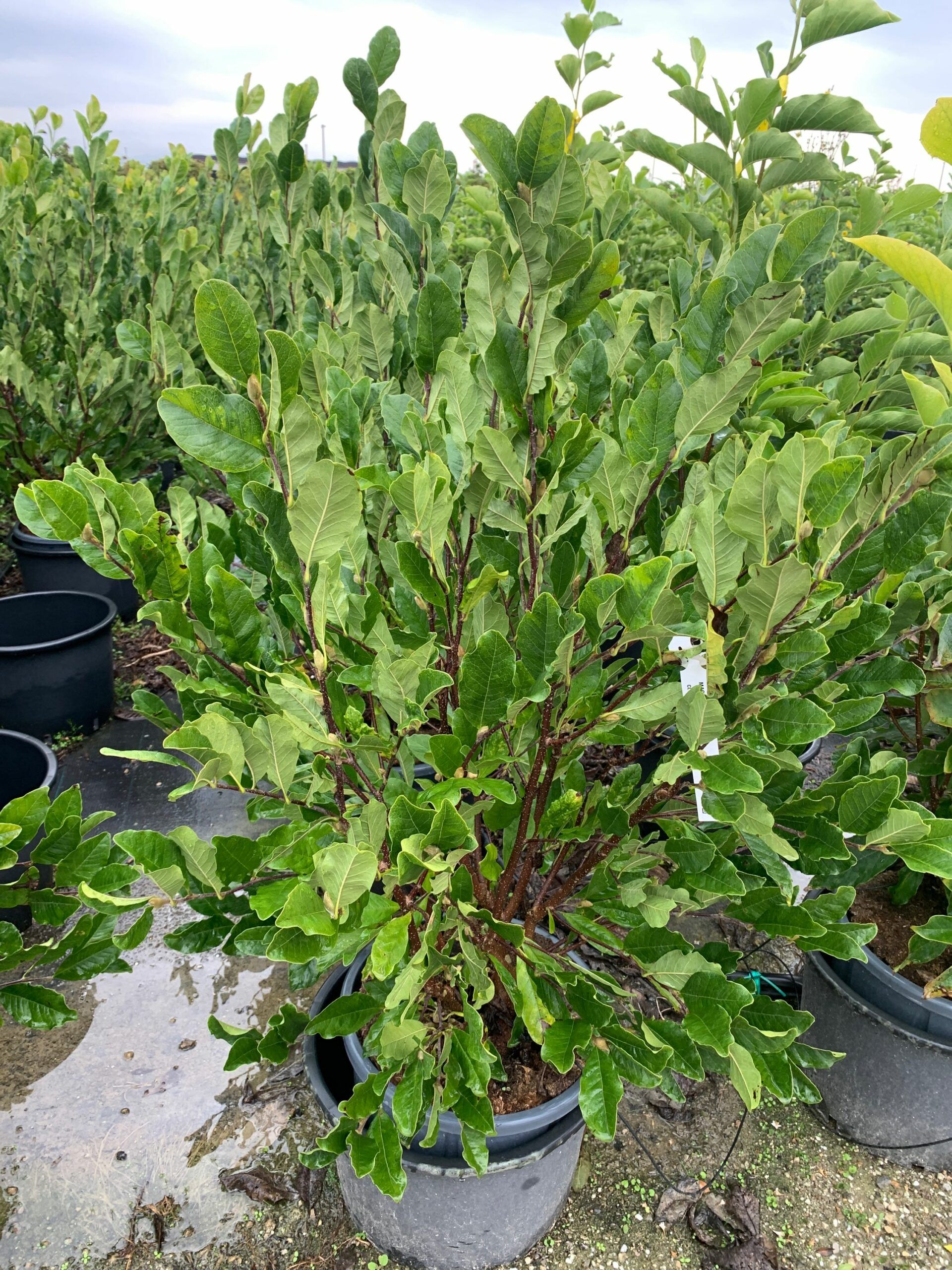 1633339107 scaled 103c63e0