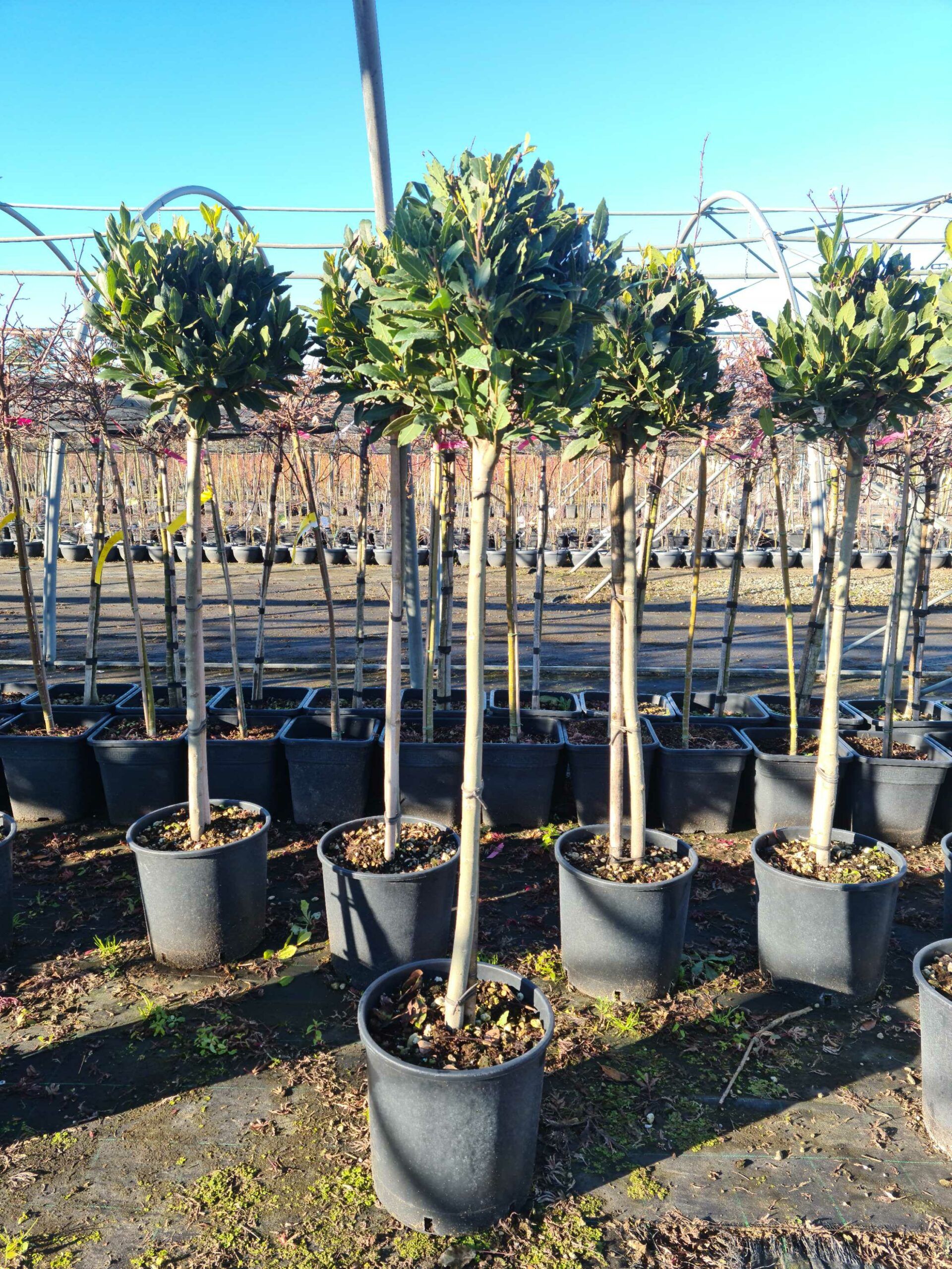 1639645386 scaled 10fda689