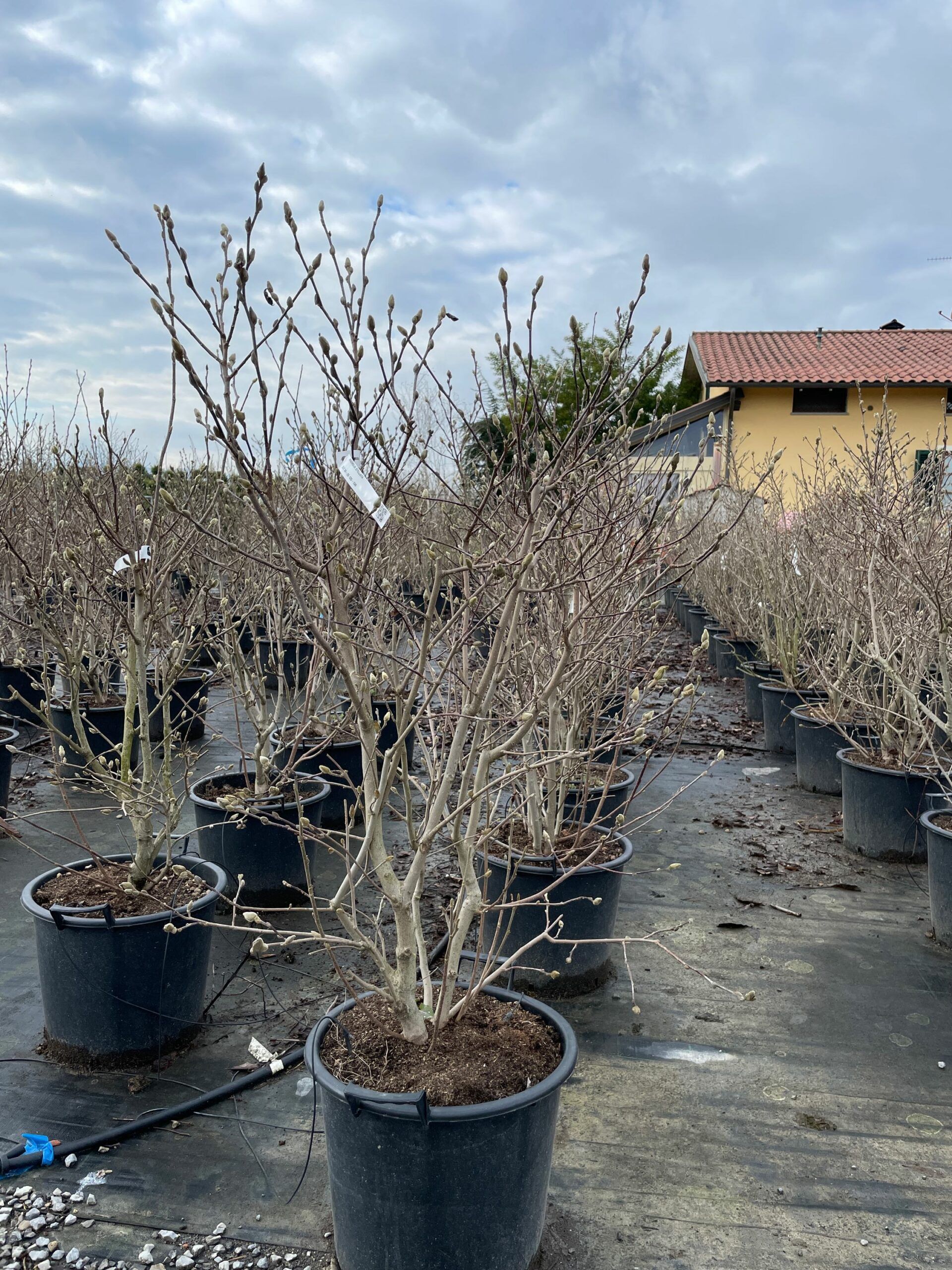 1642679346 scaled 104eb3fc