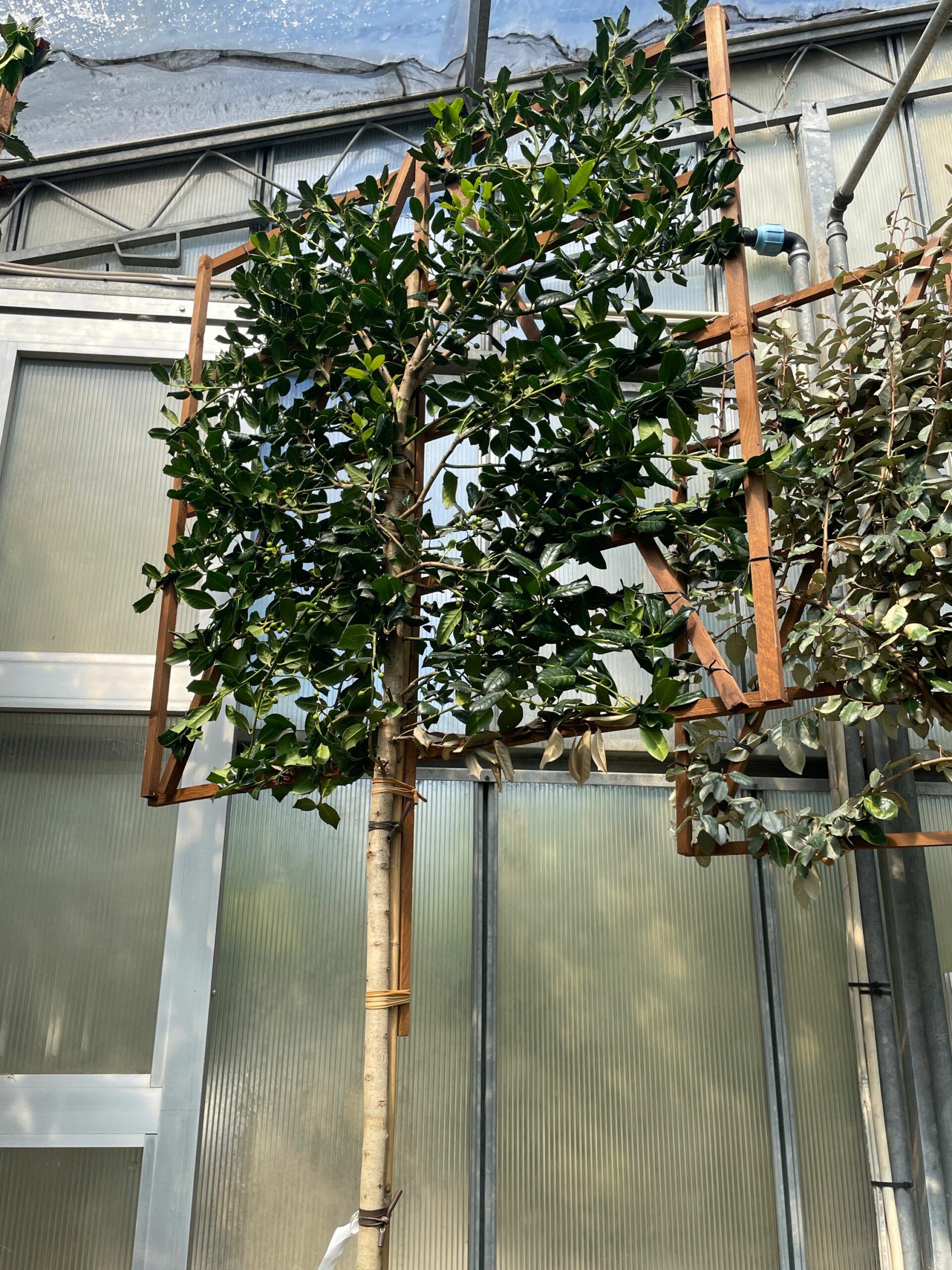 1661344357 scaled 107cd967