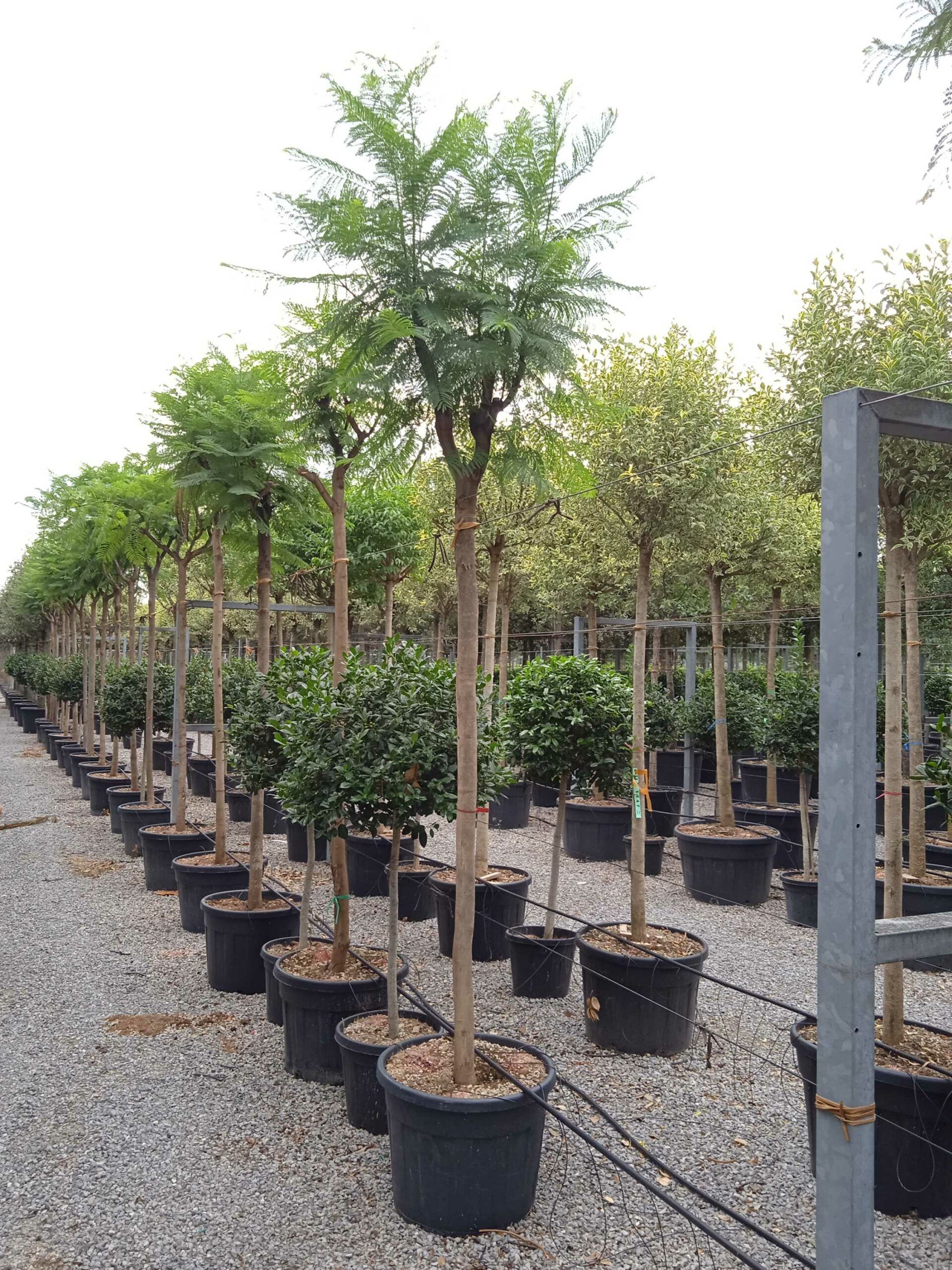 1661871090 scaled 1038a408