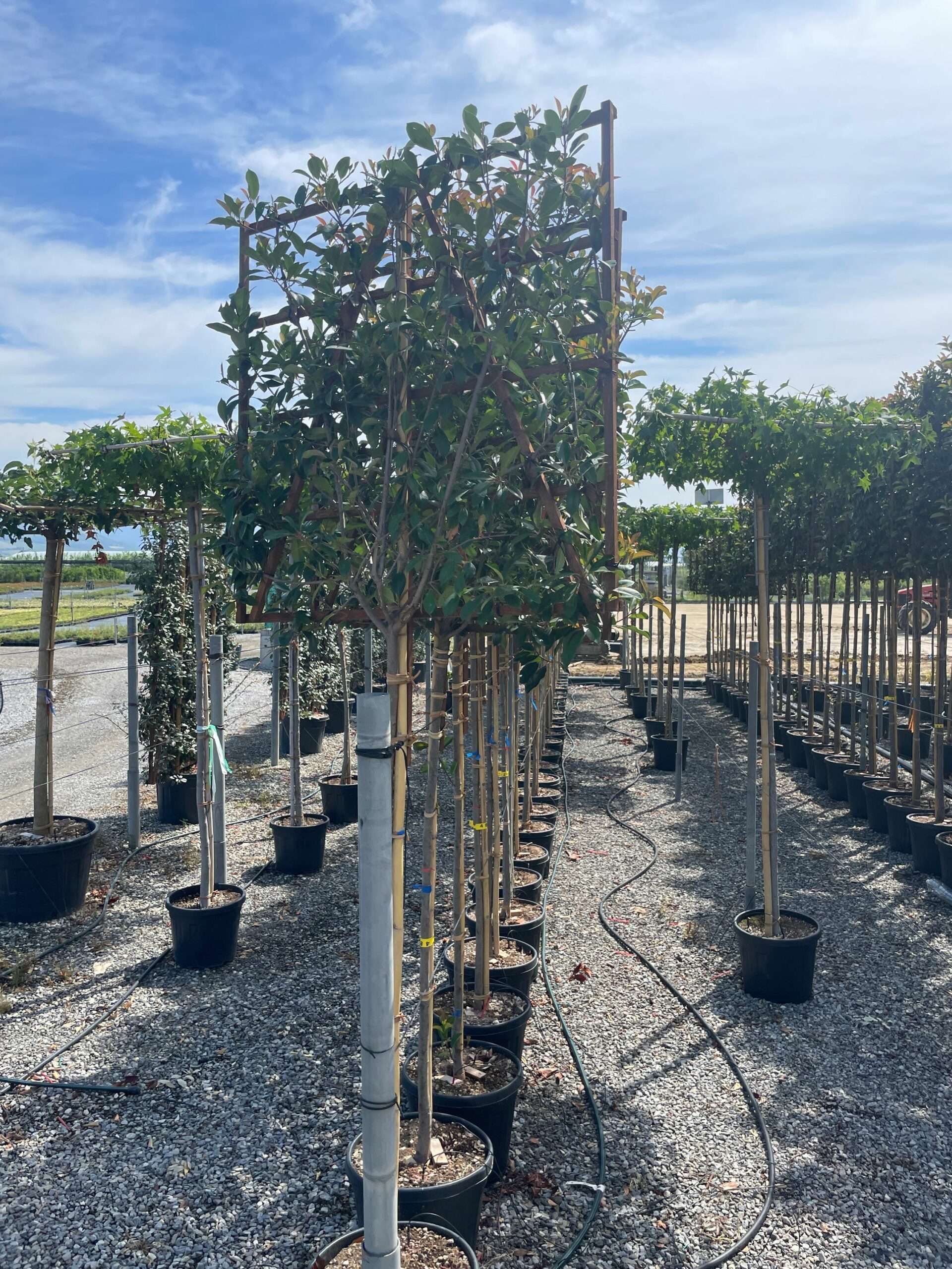 1690794913 scaled 10c76902