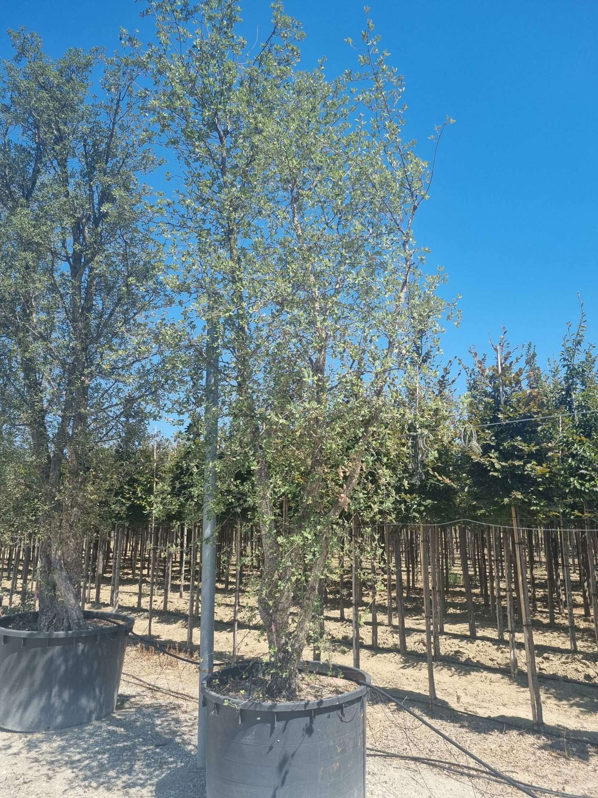 1692793934 scaled 10d6d64a