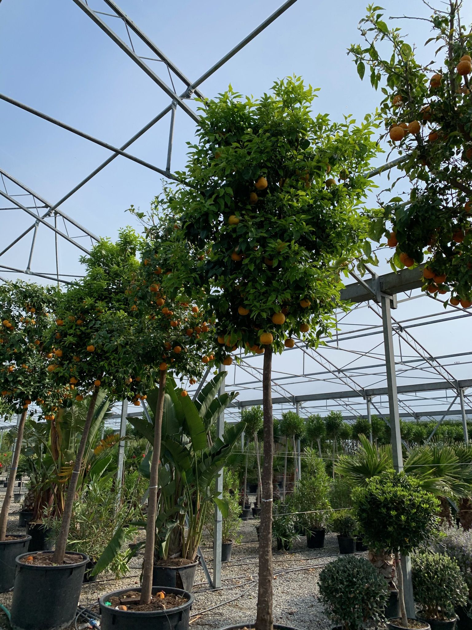 1618818935 01ea8020926544ff3636bb50625004cefe694a5d11 11f89cef