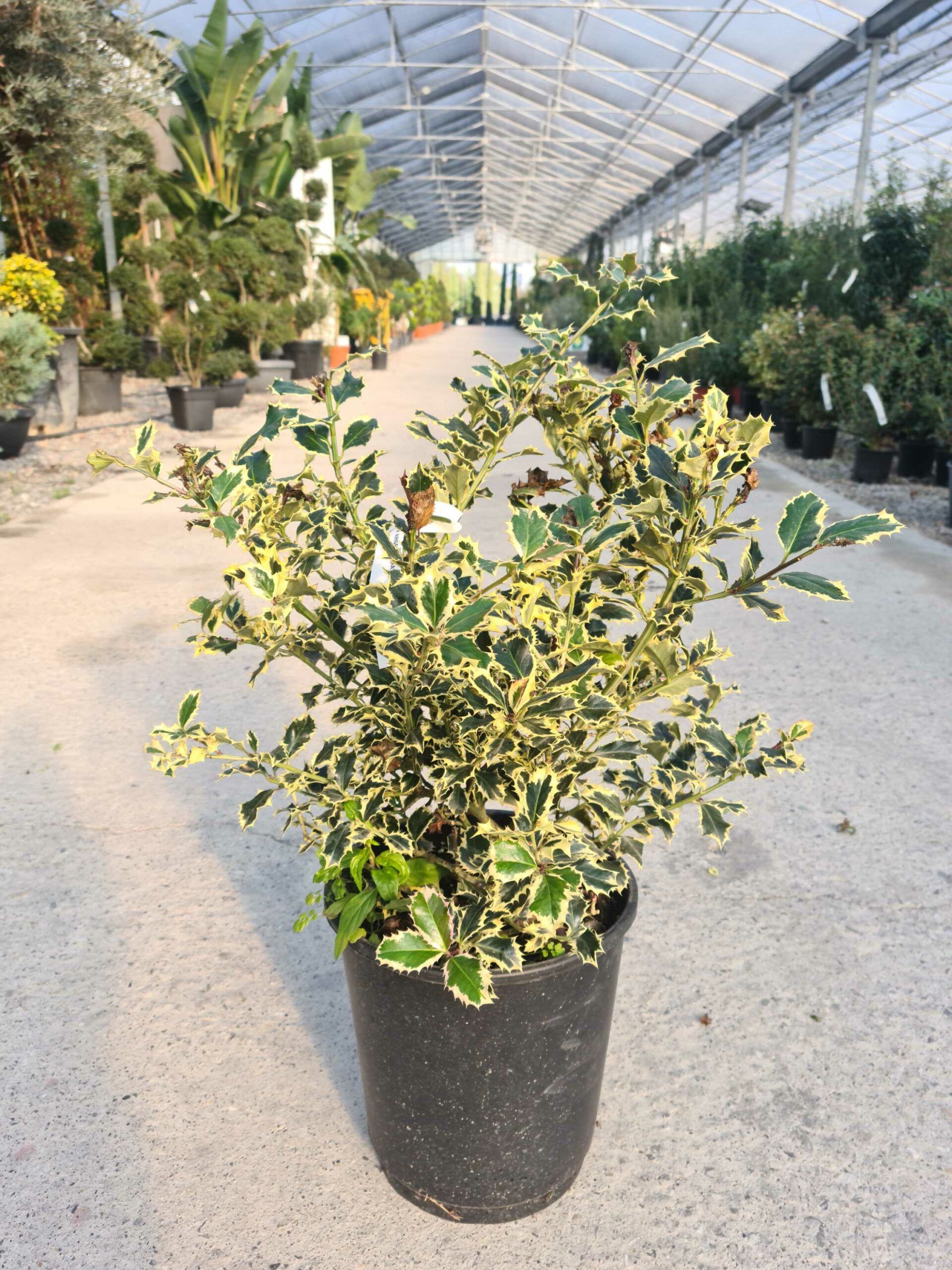 1639476245 scaled 115c5167