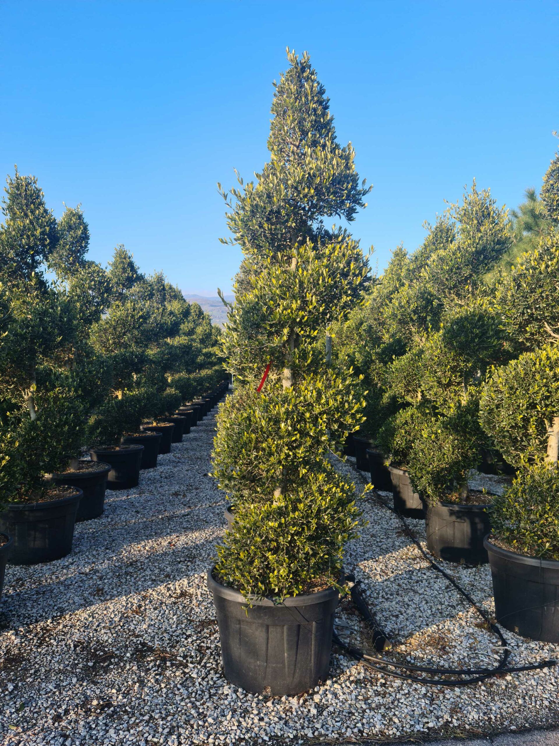 1642776751 scaled 11595e25