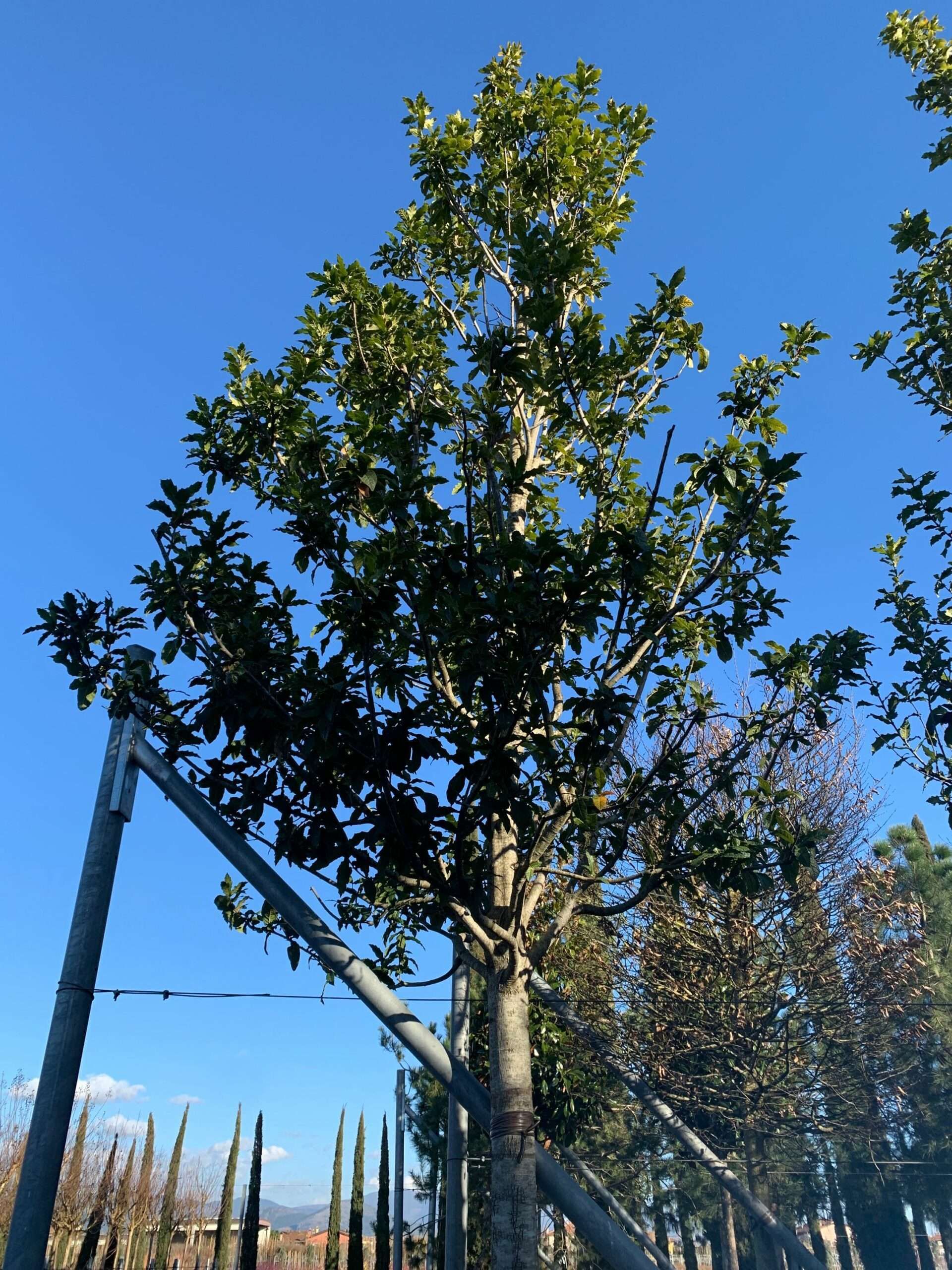 1644504426 scaled 113a0b49