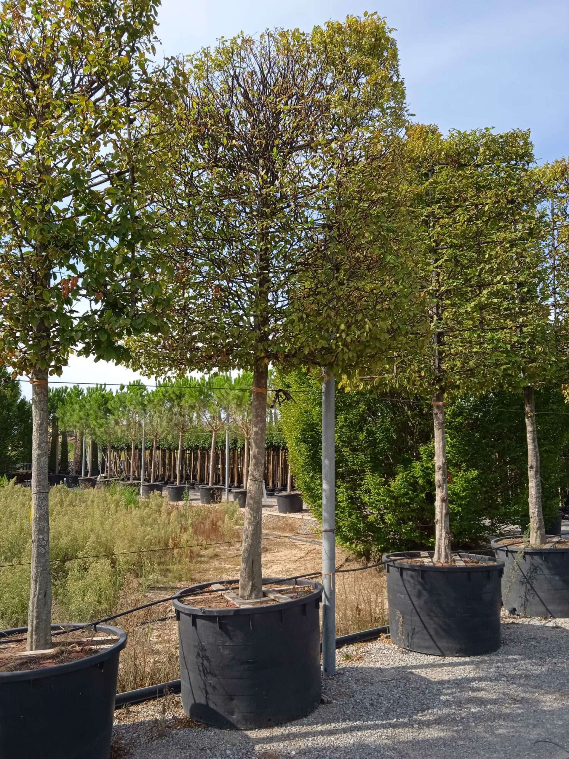 1662021354 scaled 117caf53