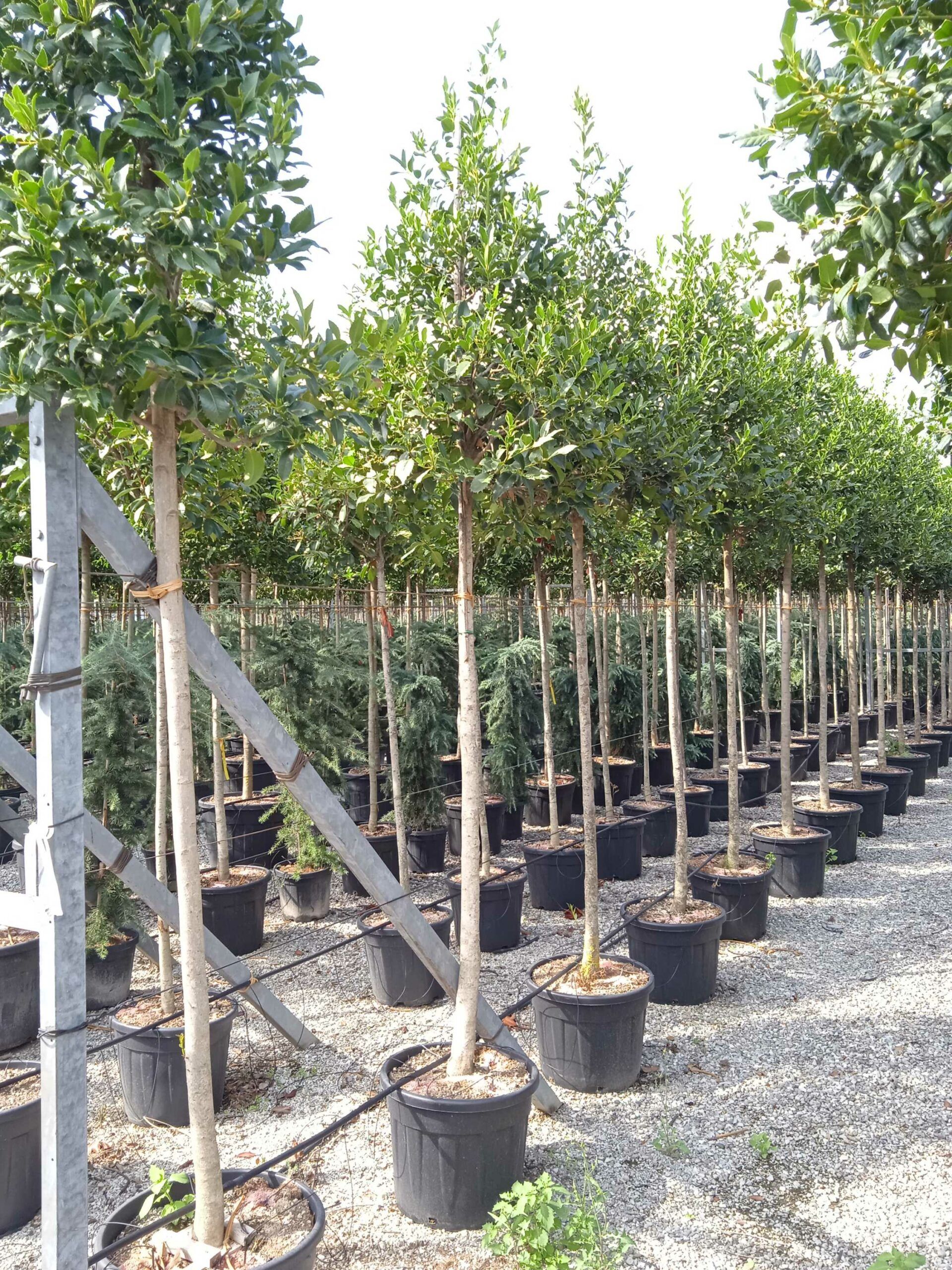 1662125581 scaled 11221c64